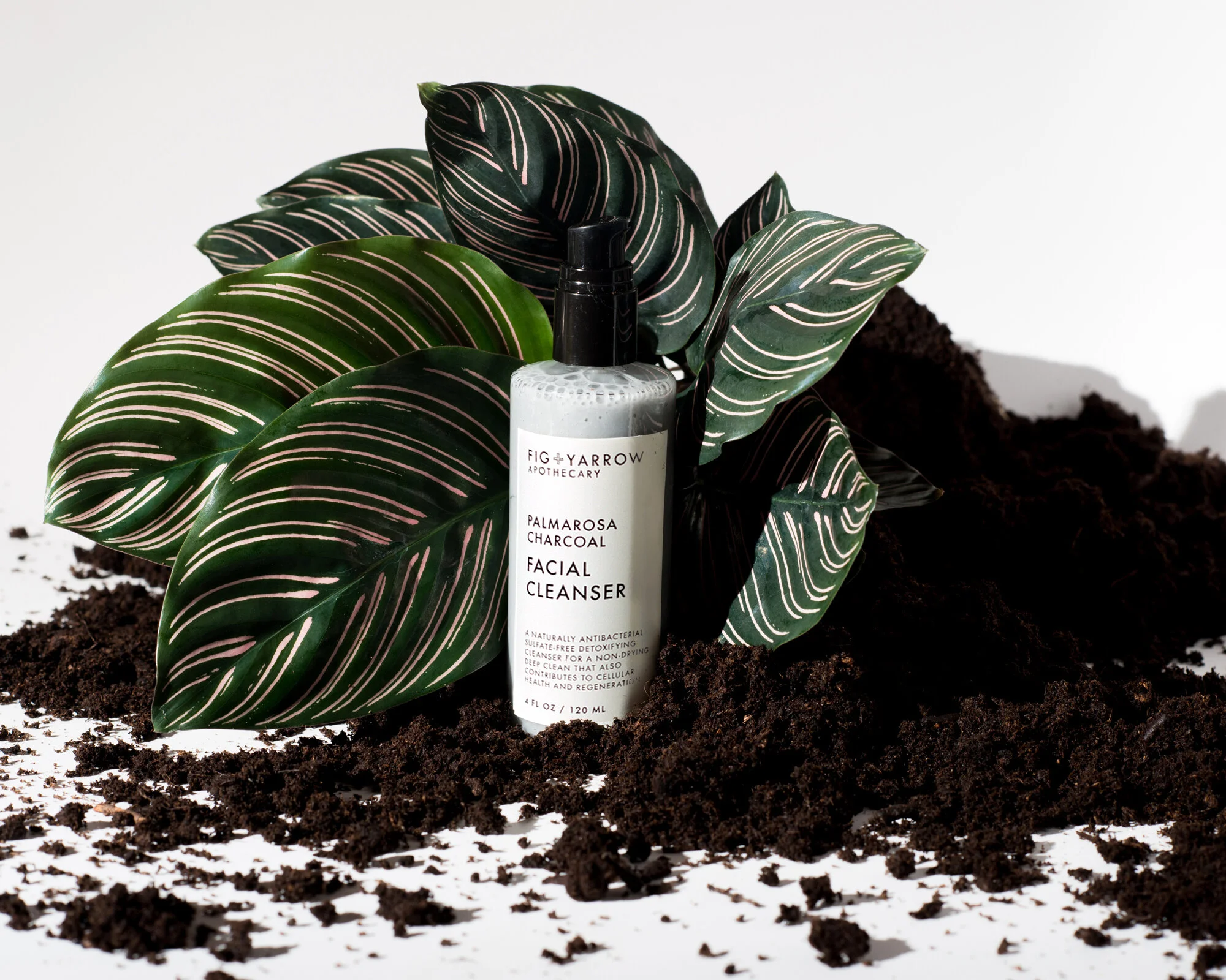 Palmarosa Charcoal Facial Cleanser