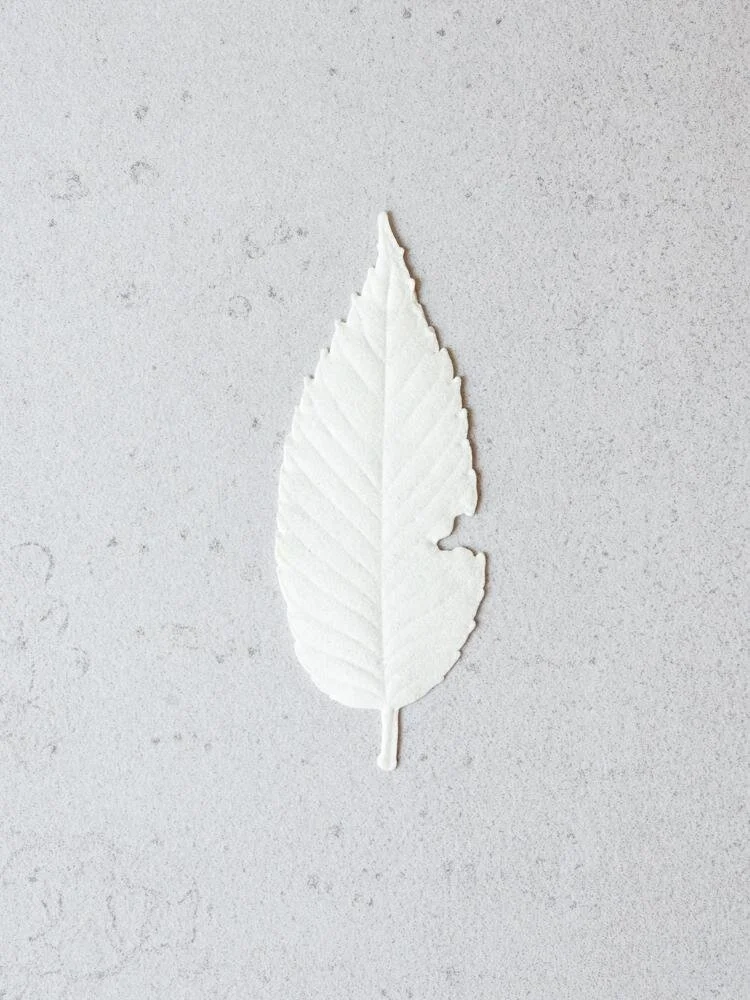 Paper Incense Leaves in White — FIG+YARROW