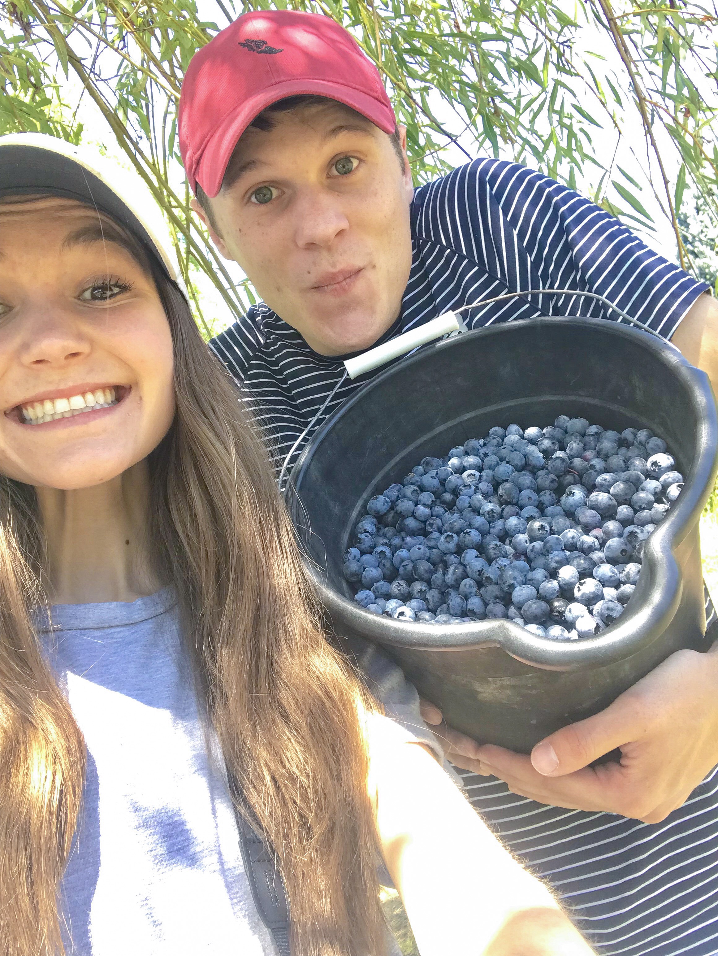 Blueberry Date