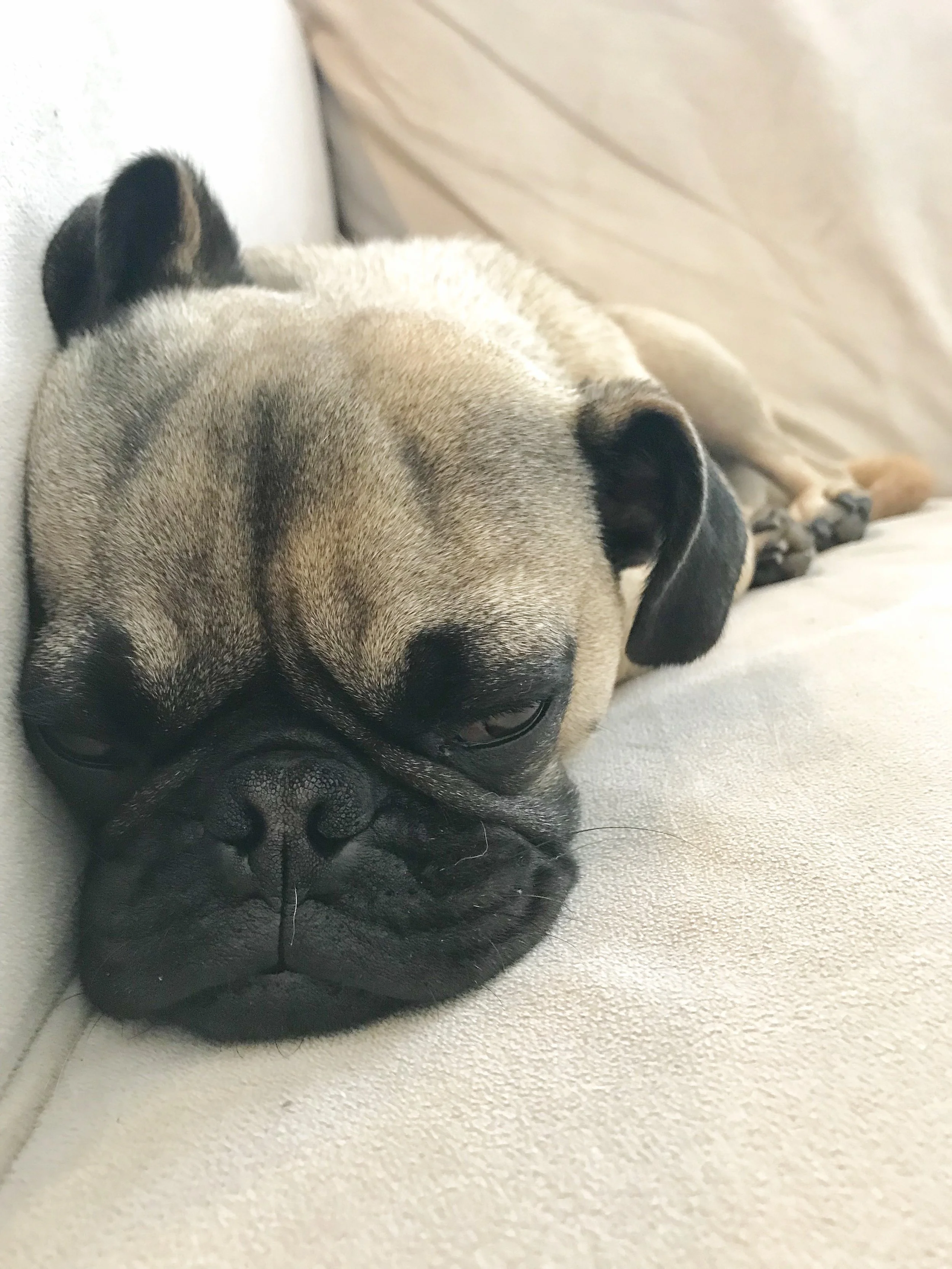 Jerry Slept Through USA Outdoors 