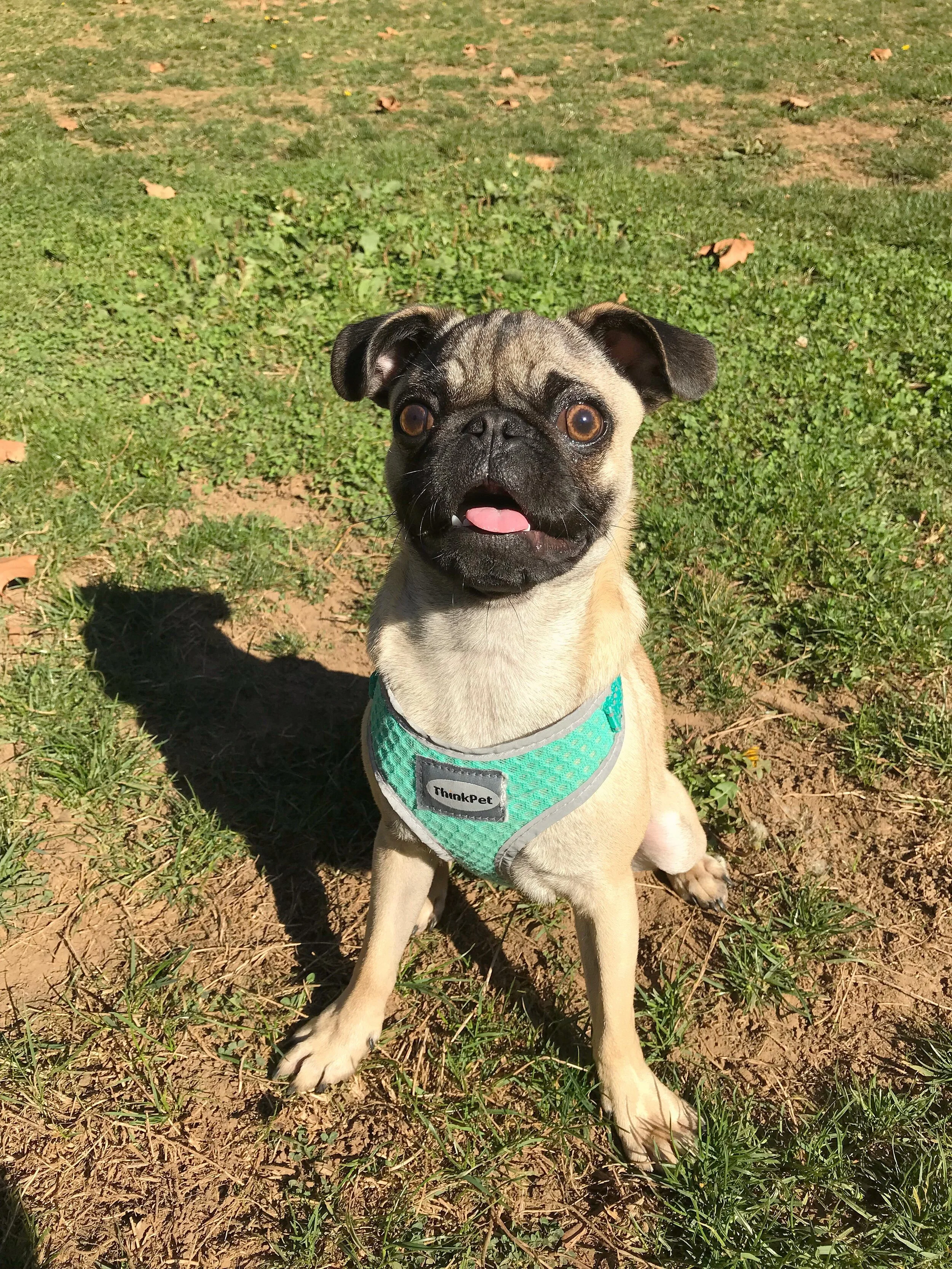 Why Wait Until January?