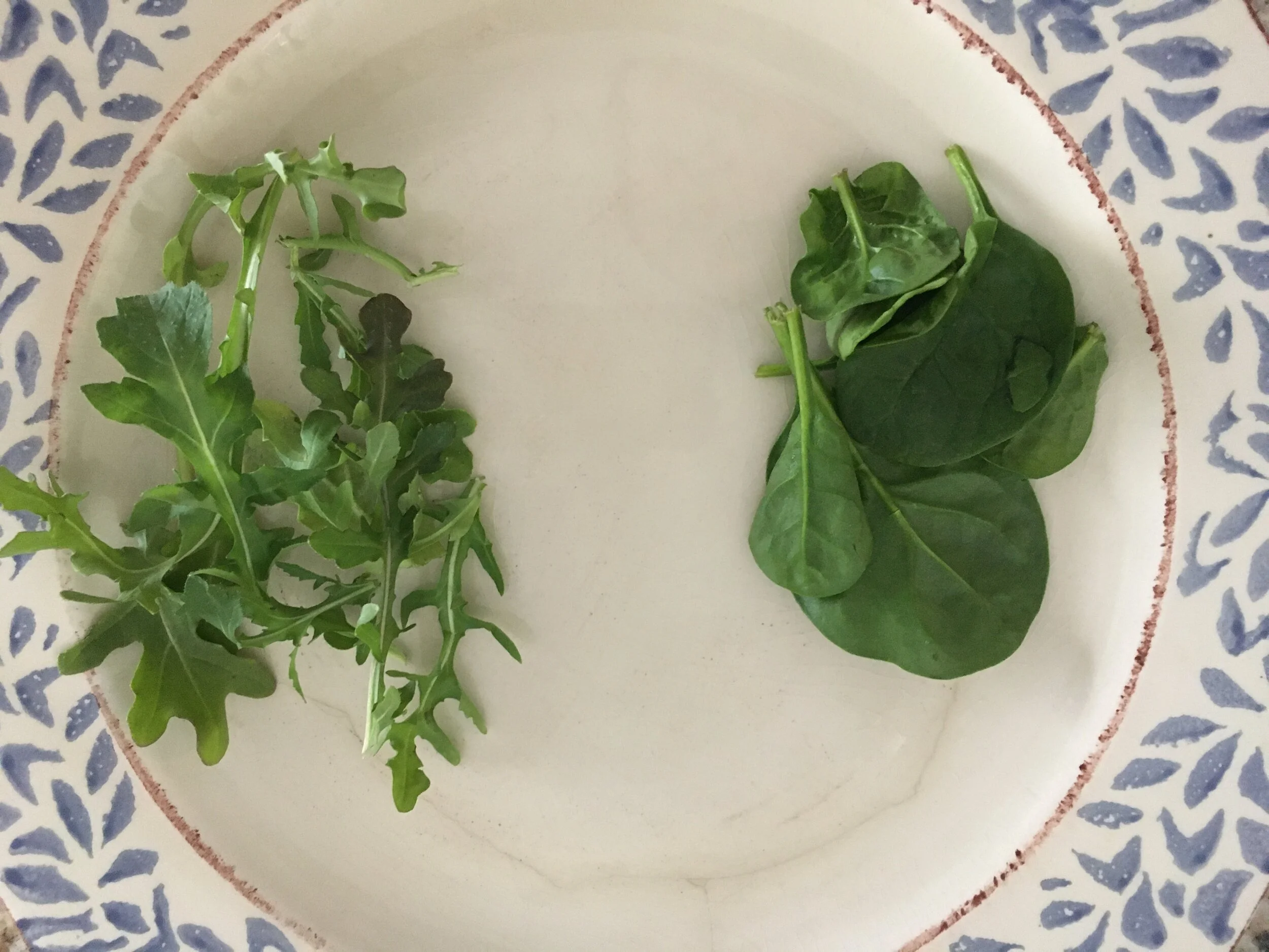 Arugula vs Spinach