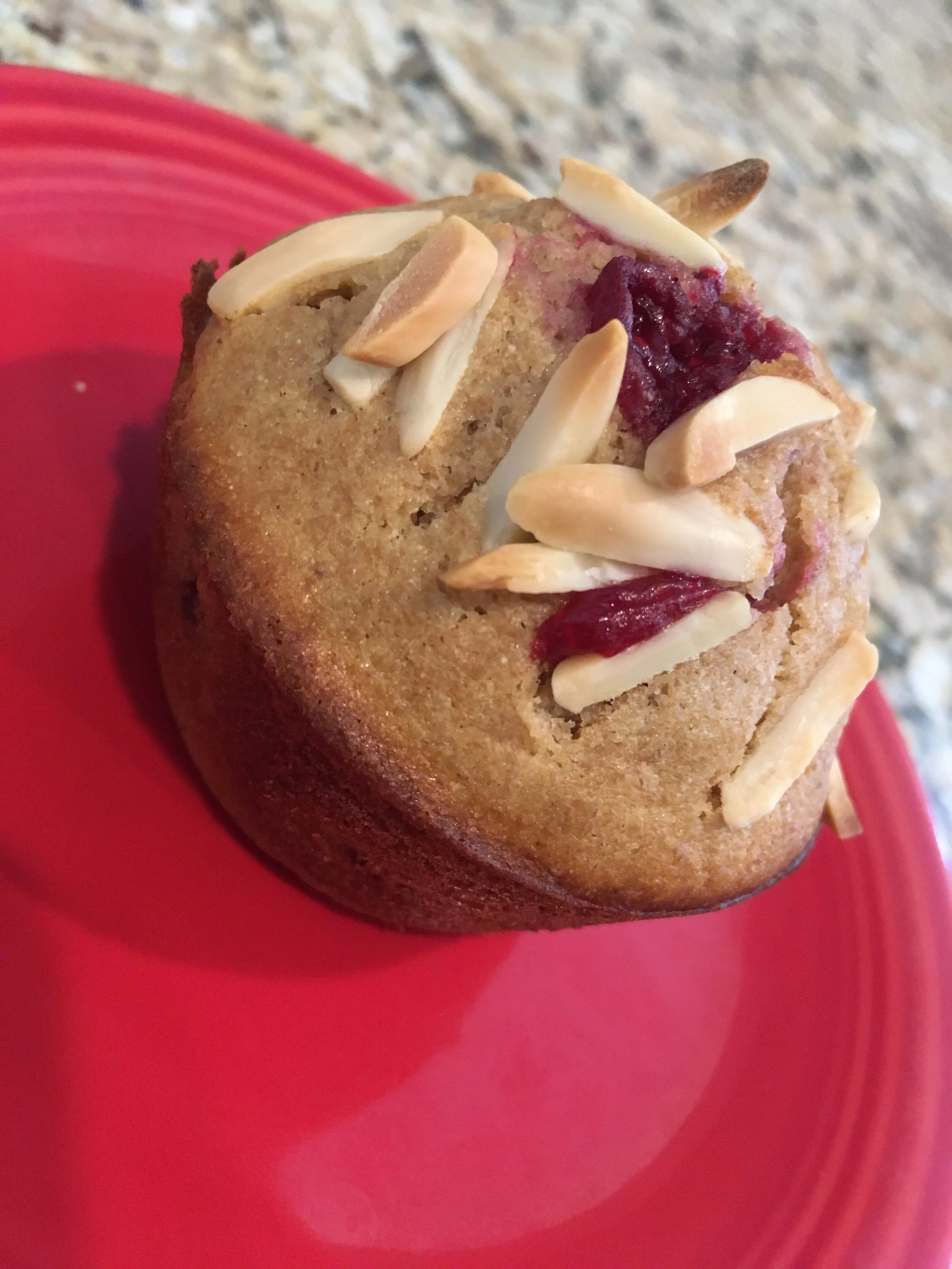 Almond Cranberry Muffins (Copy)