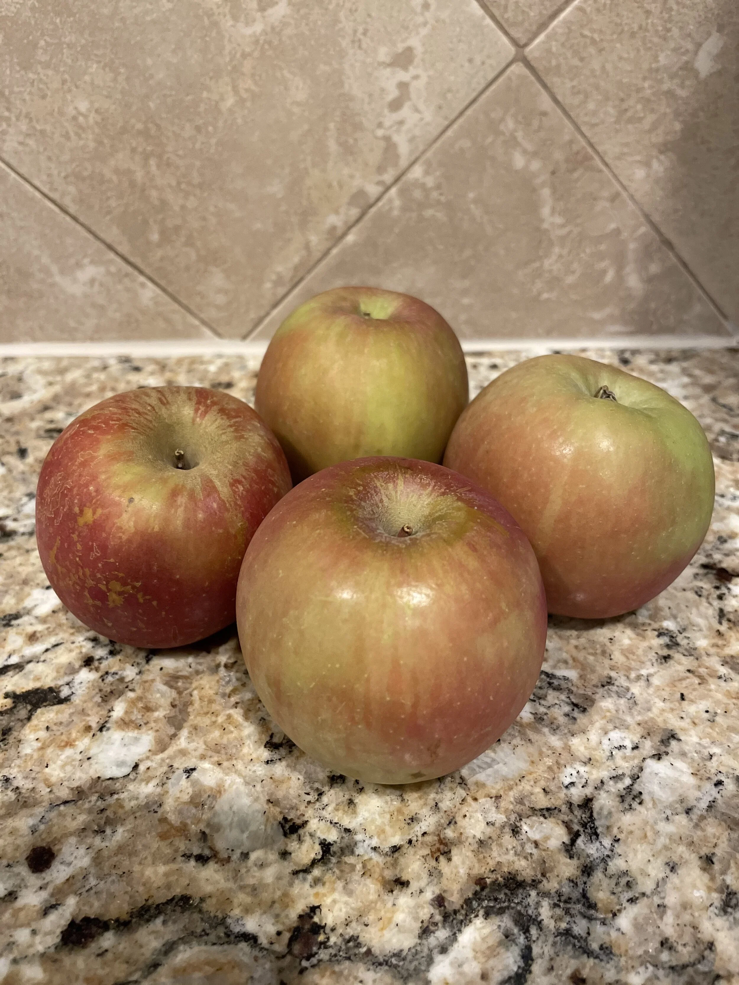 Should I run fasted or fueled? 