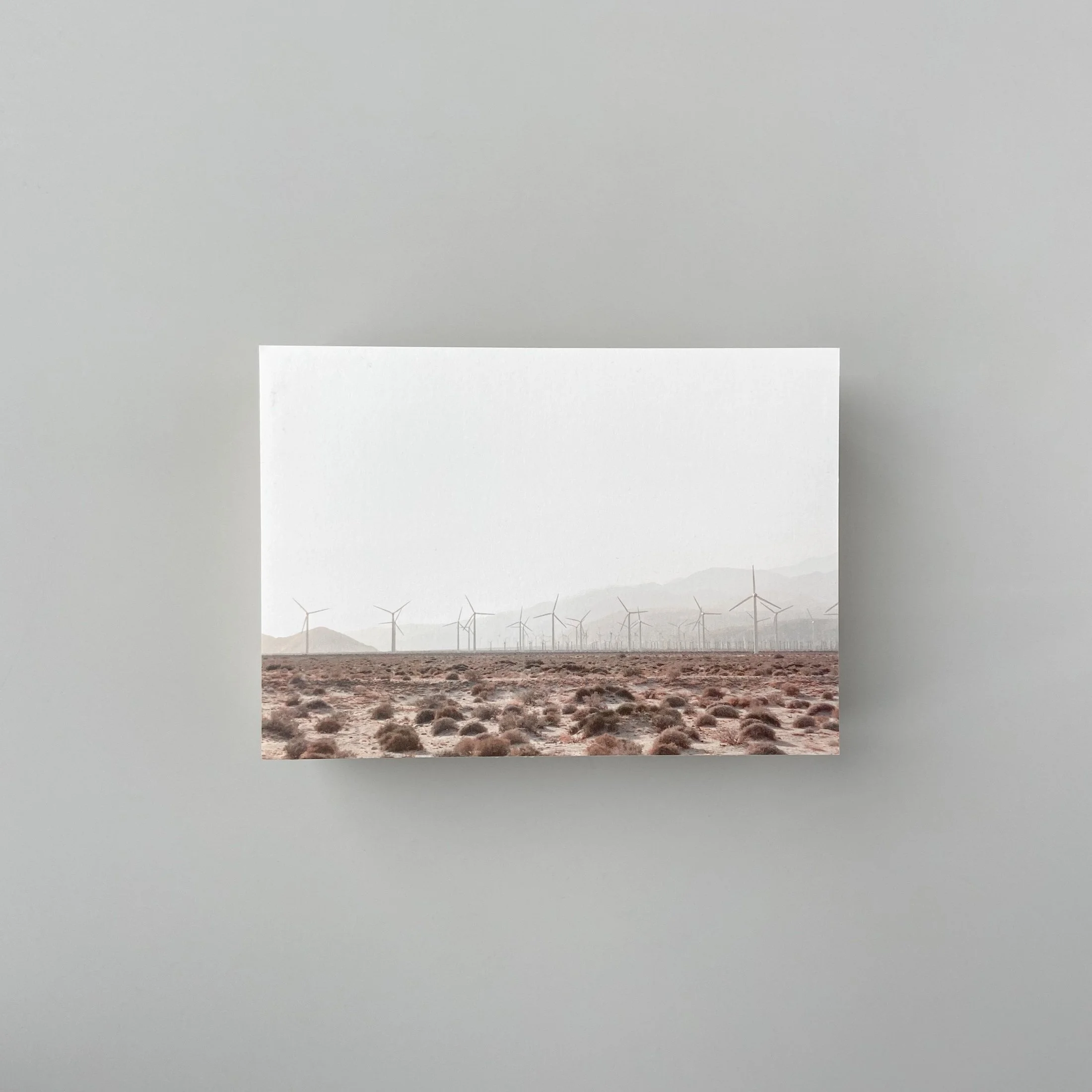 wood fram palm springs 1.jpg