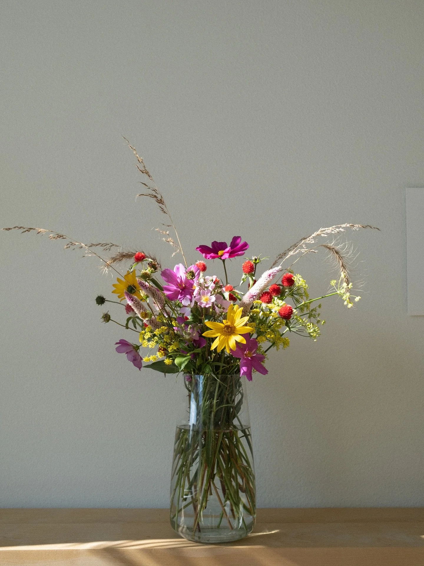 To everyone who wished me a happy birthday, thank you for thinking of me 🤍