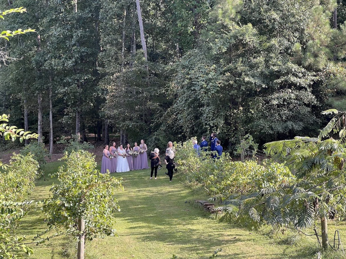 A bride and groom taking pictures in the vineyards at Koury Farms