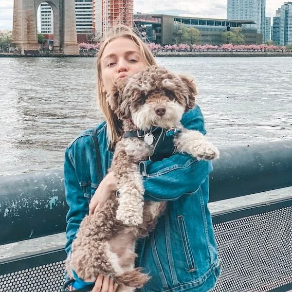 12 Days of Happy Tails: Meet Sully