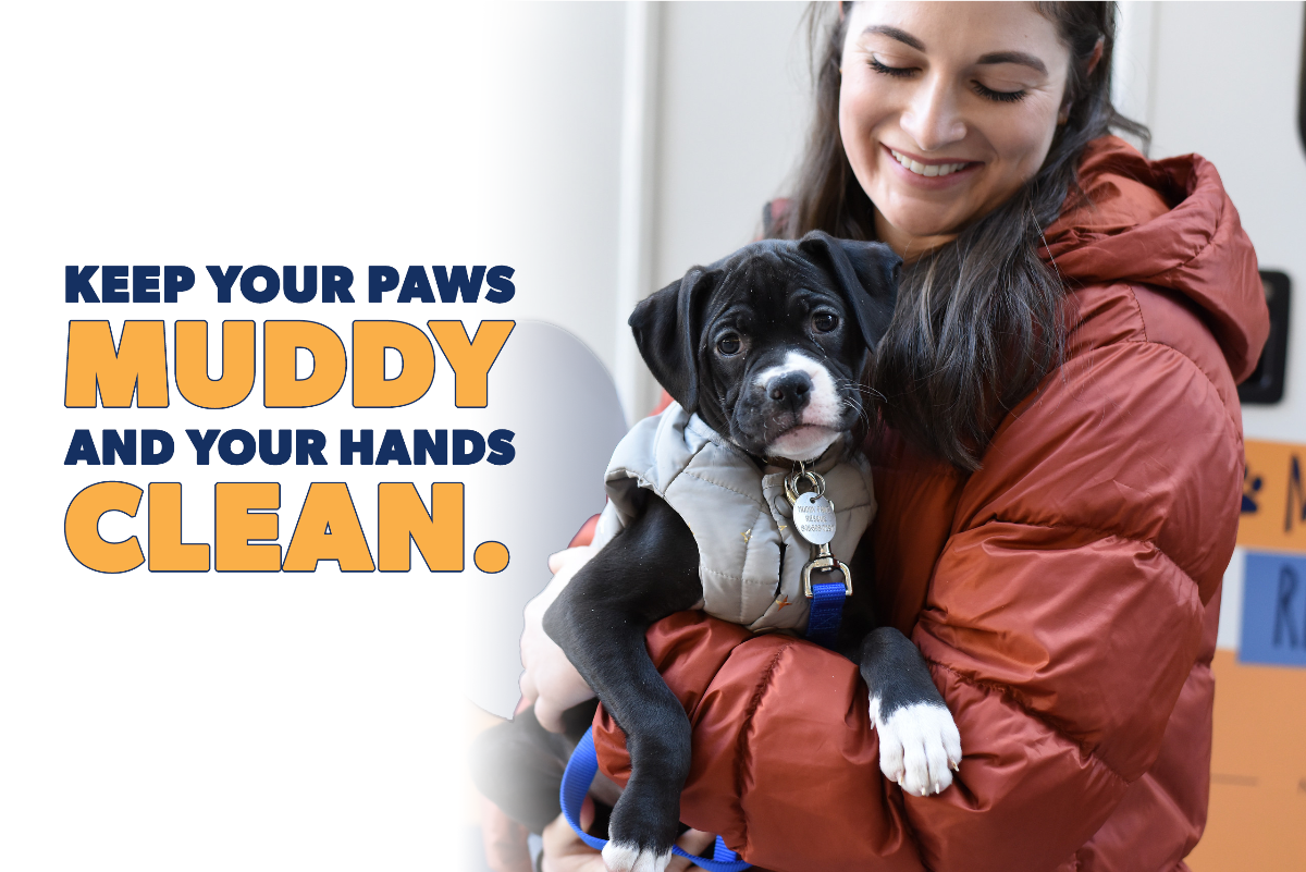 An Important Pack Update Regarding the Coronavirus