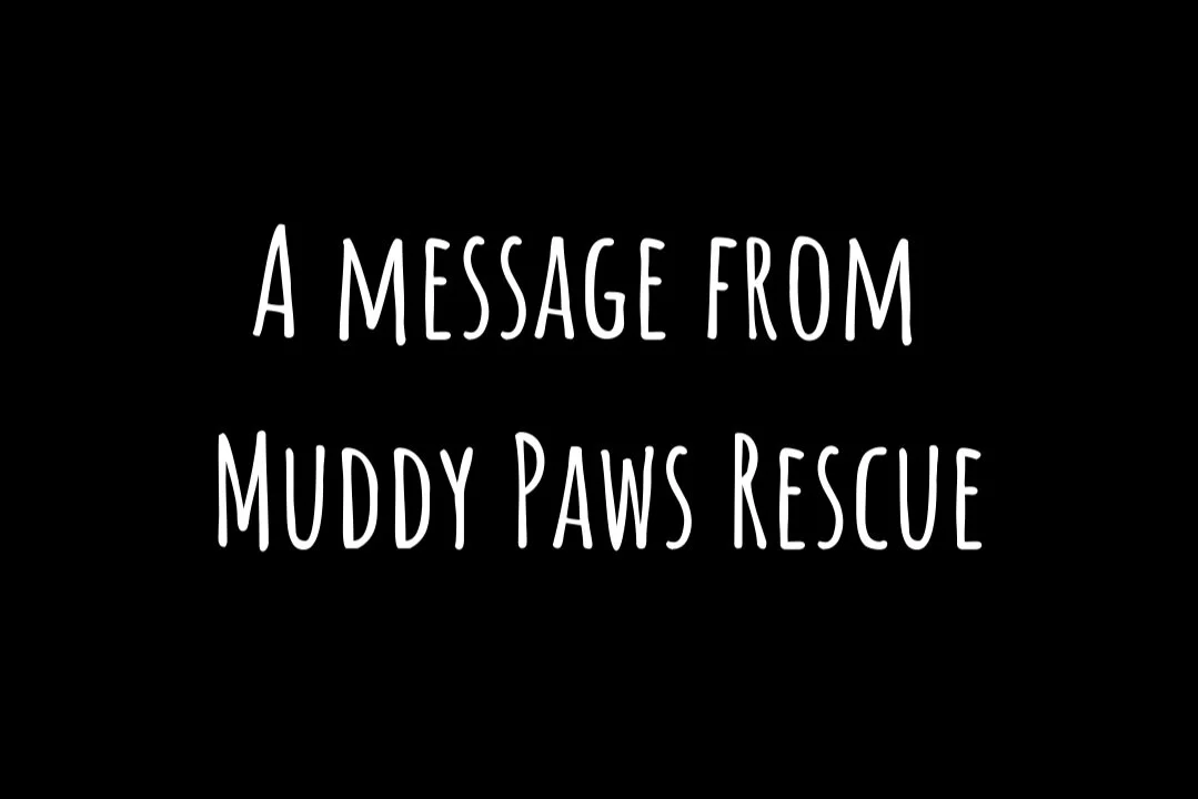 A Message From Muddy Paws Rescue