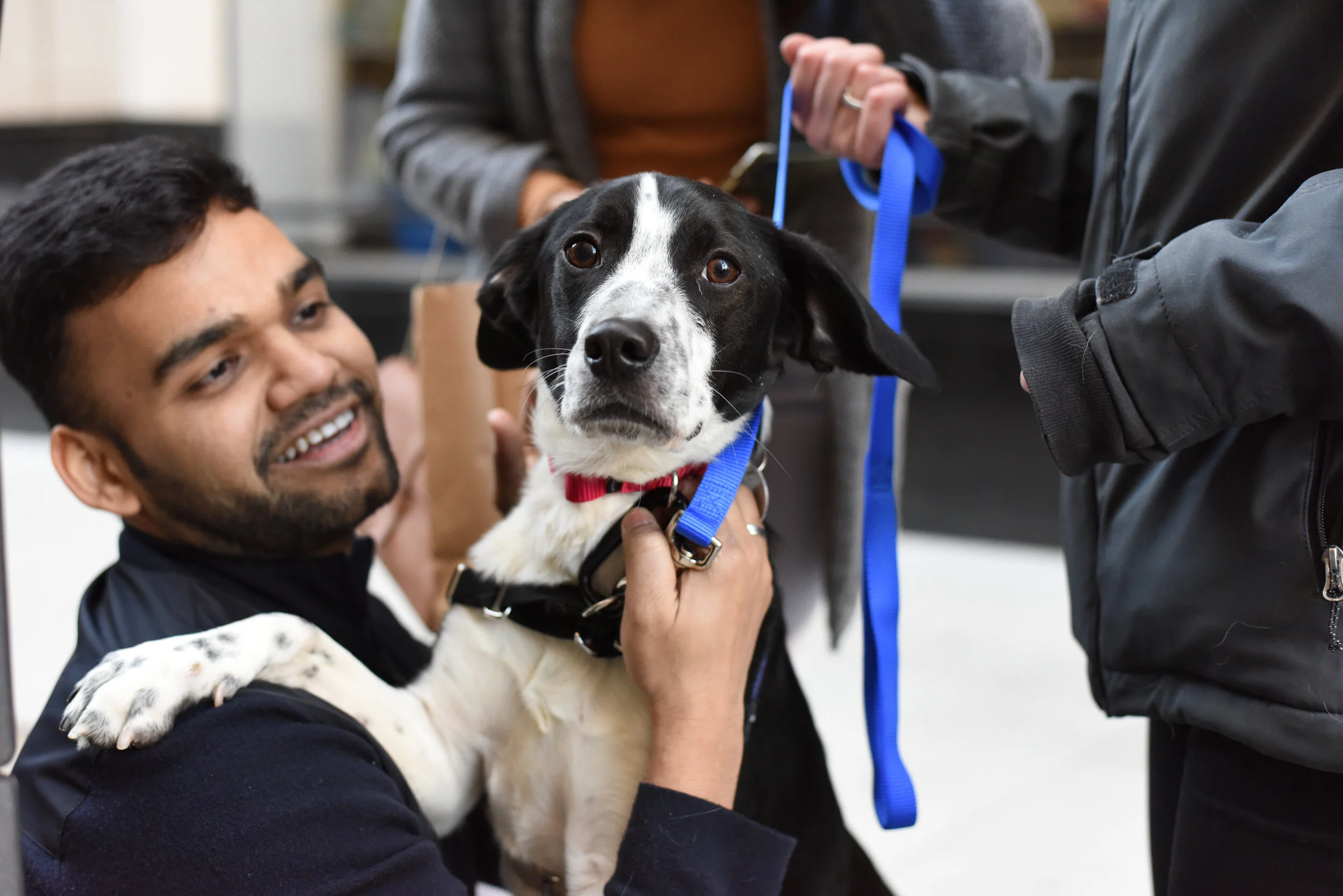 mucky paws small dog rescue