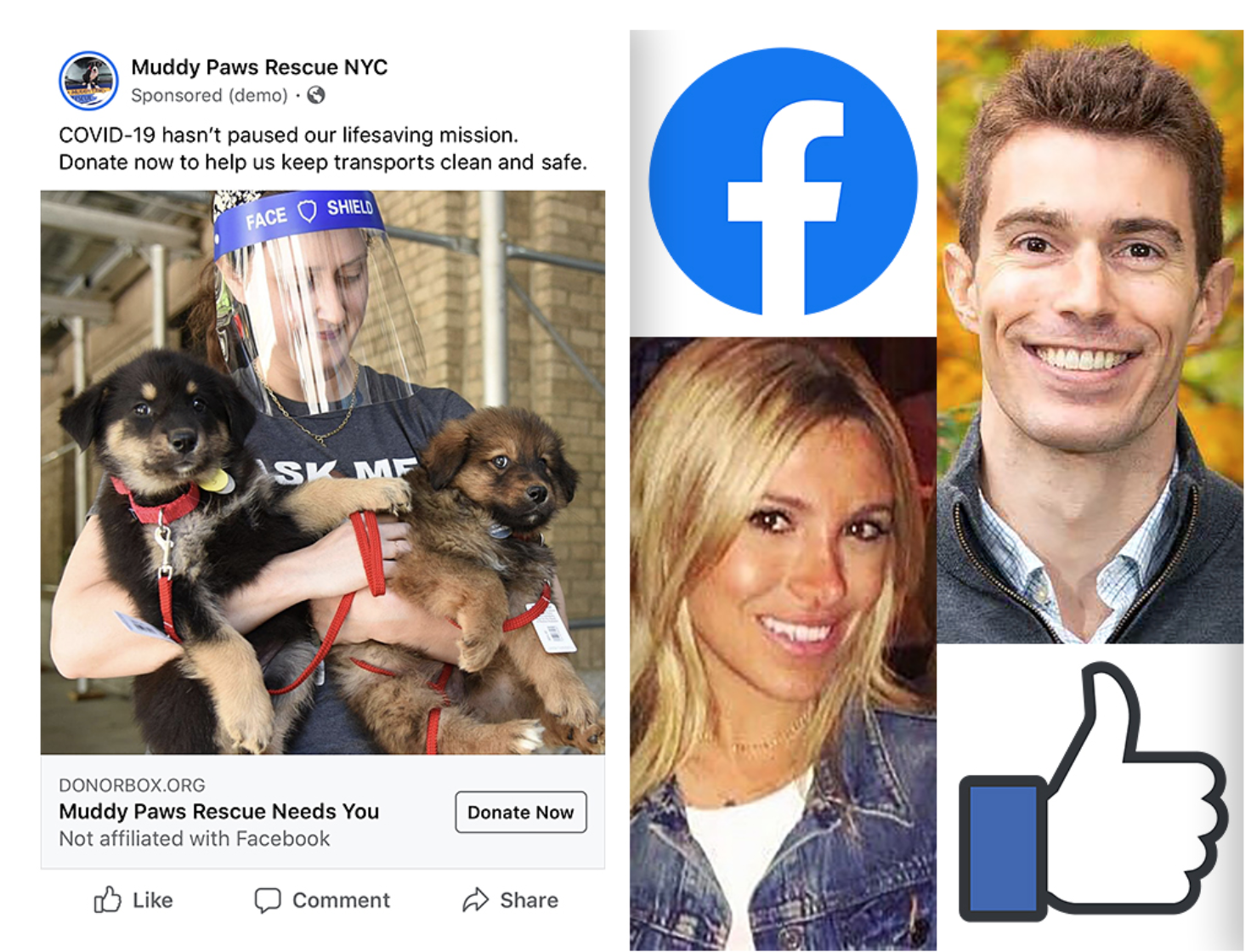 Mayor's Alliance for NYC's Animals Features Muddy Paws!
