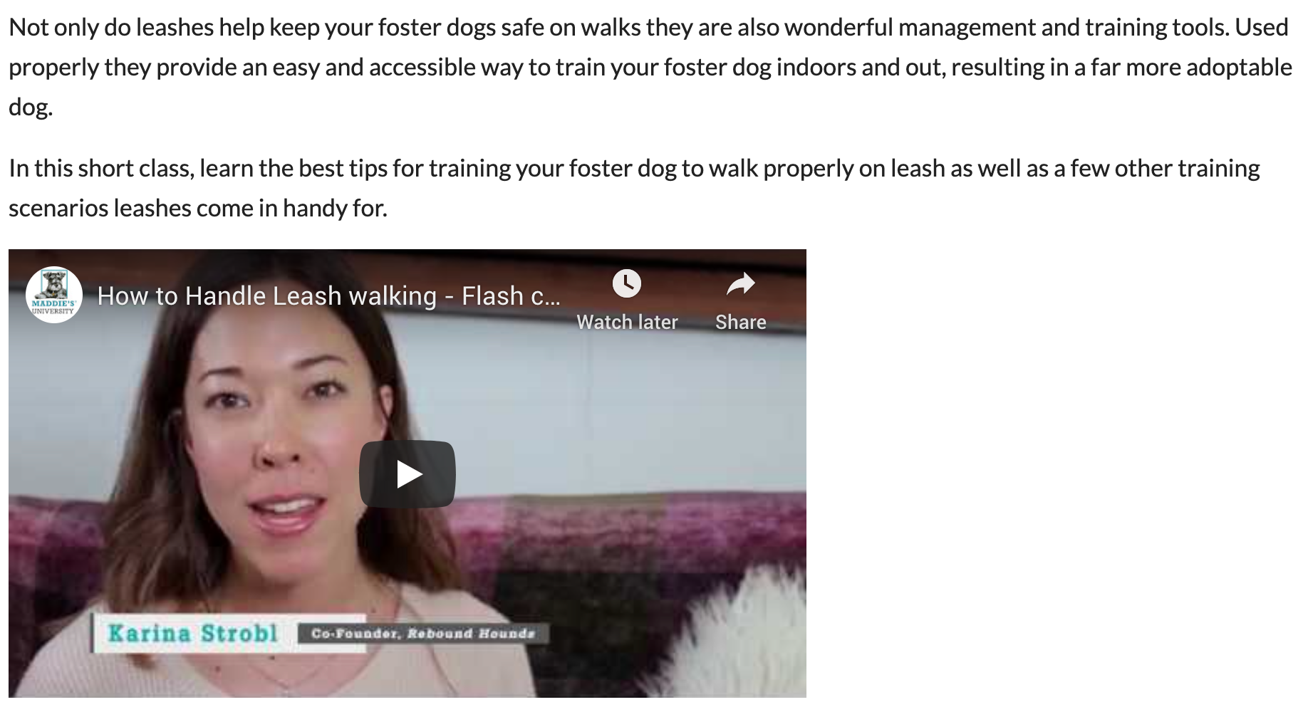Maddie's Fund: Leash Walking