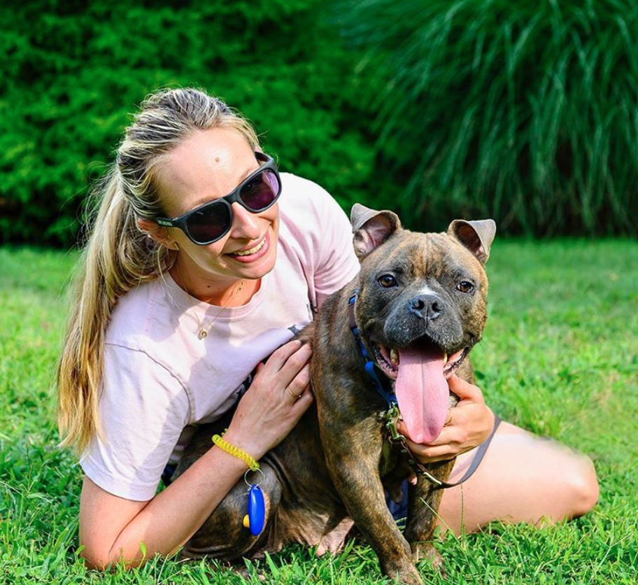 Secondhand Hounds - It's Pitbull awareness month and we're a huge fan of  those velvety land seals. Our trainer, Barb, of Dog Talk Training MN  recently shared this and we just knew