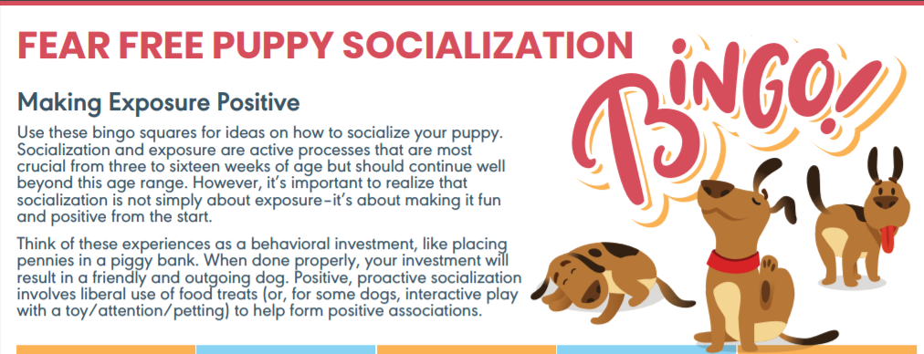 Fear Free Happy Homes: Puppy Socialization Bingo