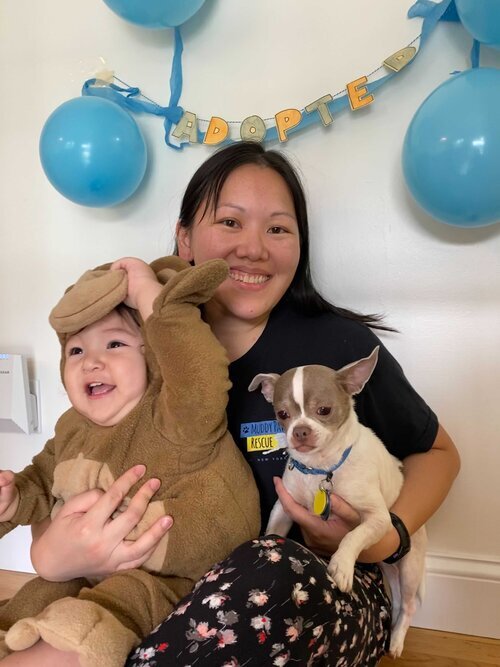 Muddy Paws Rescue: Fostering with Kids