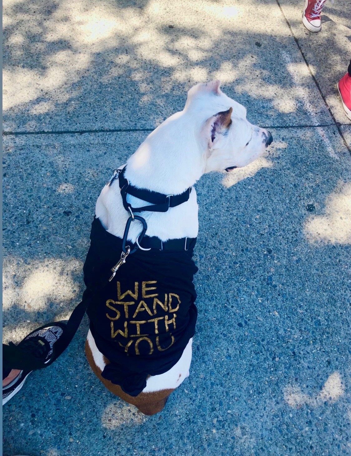 BLM Protest Pup.jpg