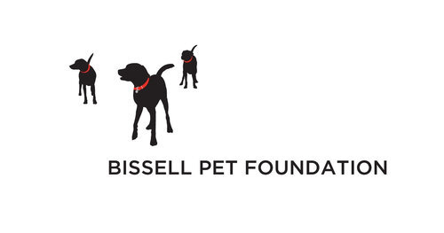 mpr-bissell-pet-foundation.jpg