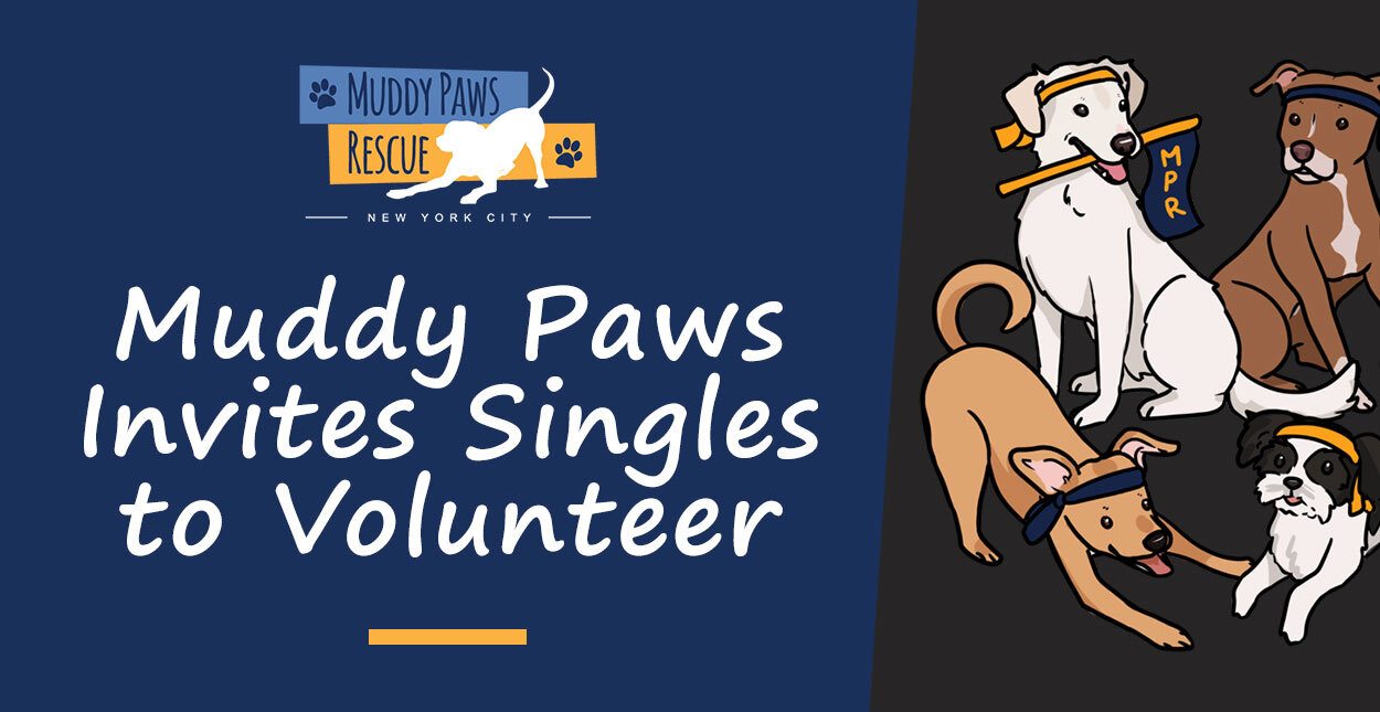 Muddy Paws Rescue featured on DatingAdvice.com
