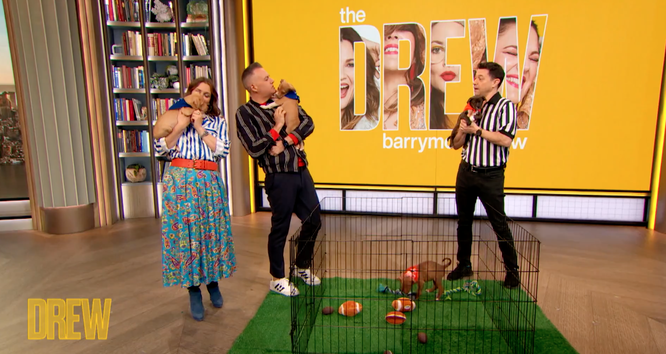 Muddy Paws Rescue Featured on The Drew Barrymore Show to Promote Puppy Bowl!