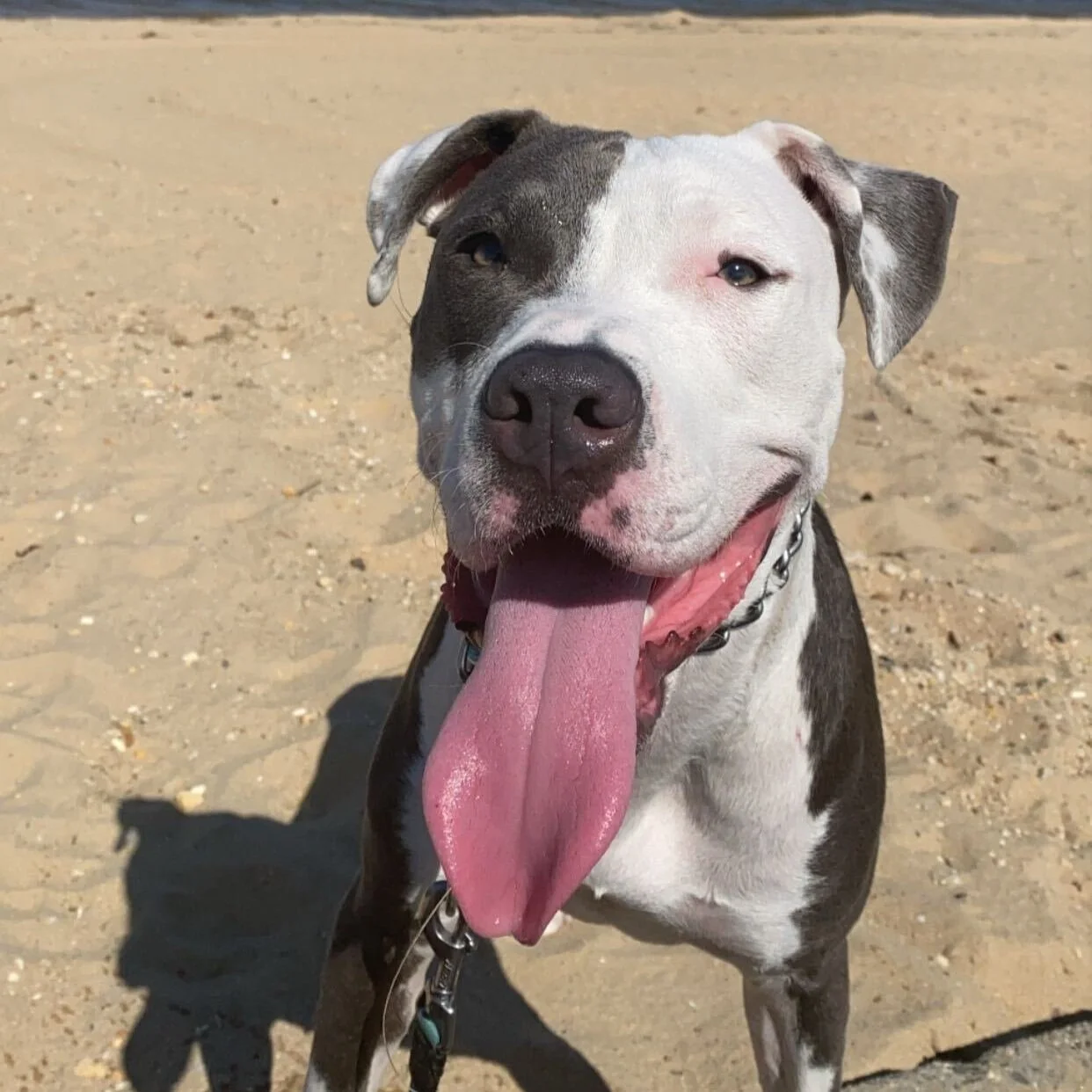 Tips for a Safe Summer