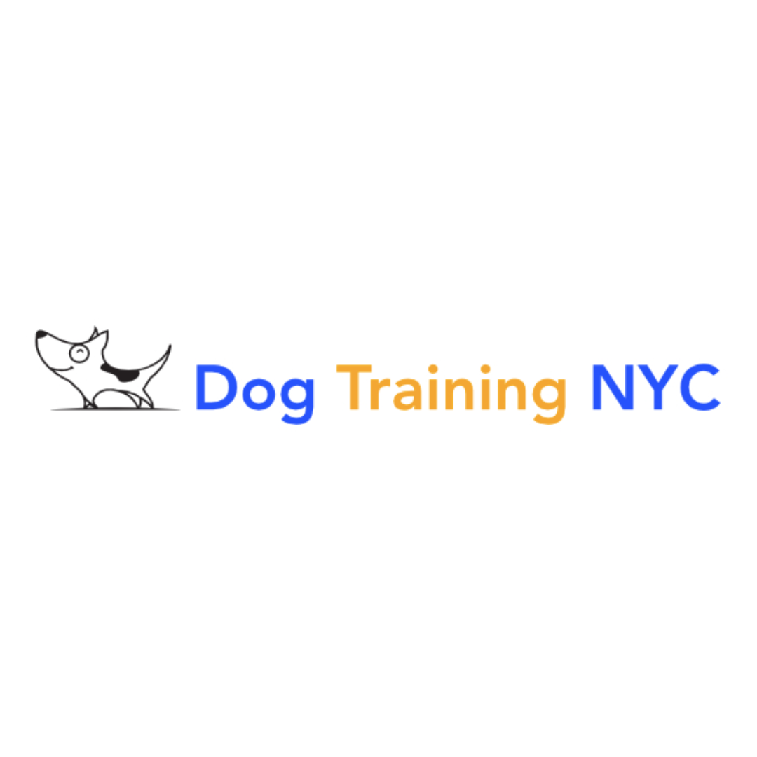 Dog Training NYC