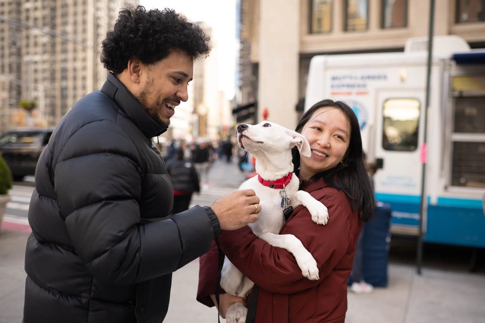 Trial Adoption Program — Muddy Paws Rescue