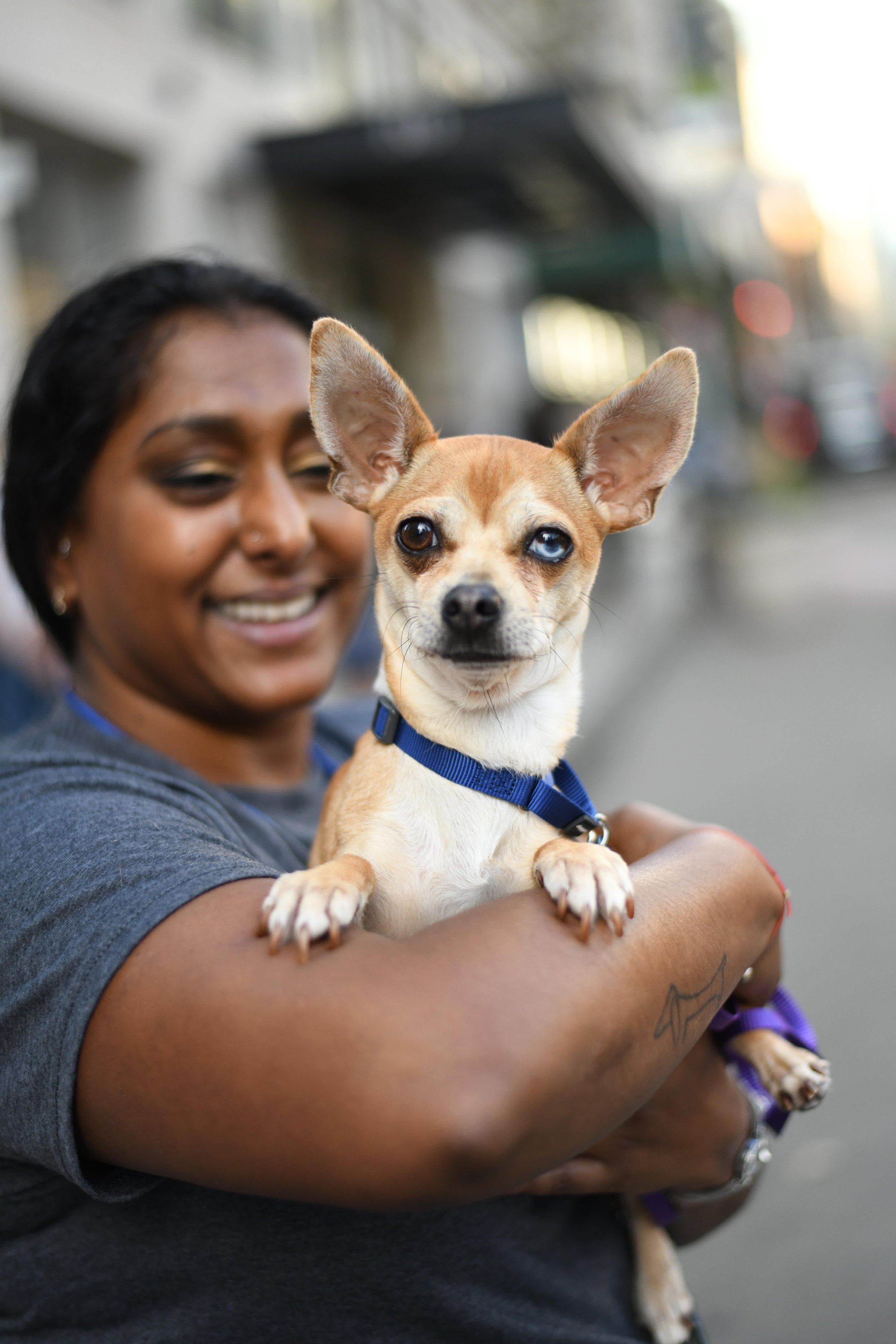 Volunteer for rescue dogs — Muddy Paws Rescue