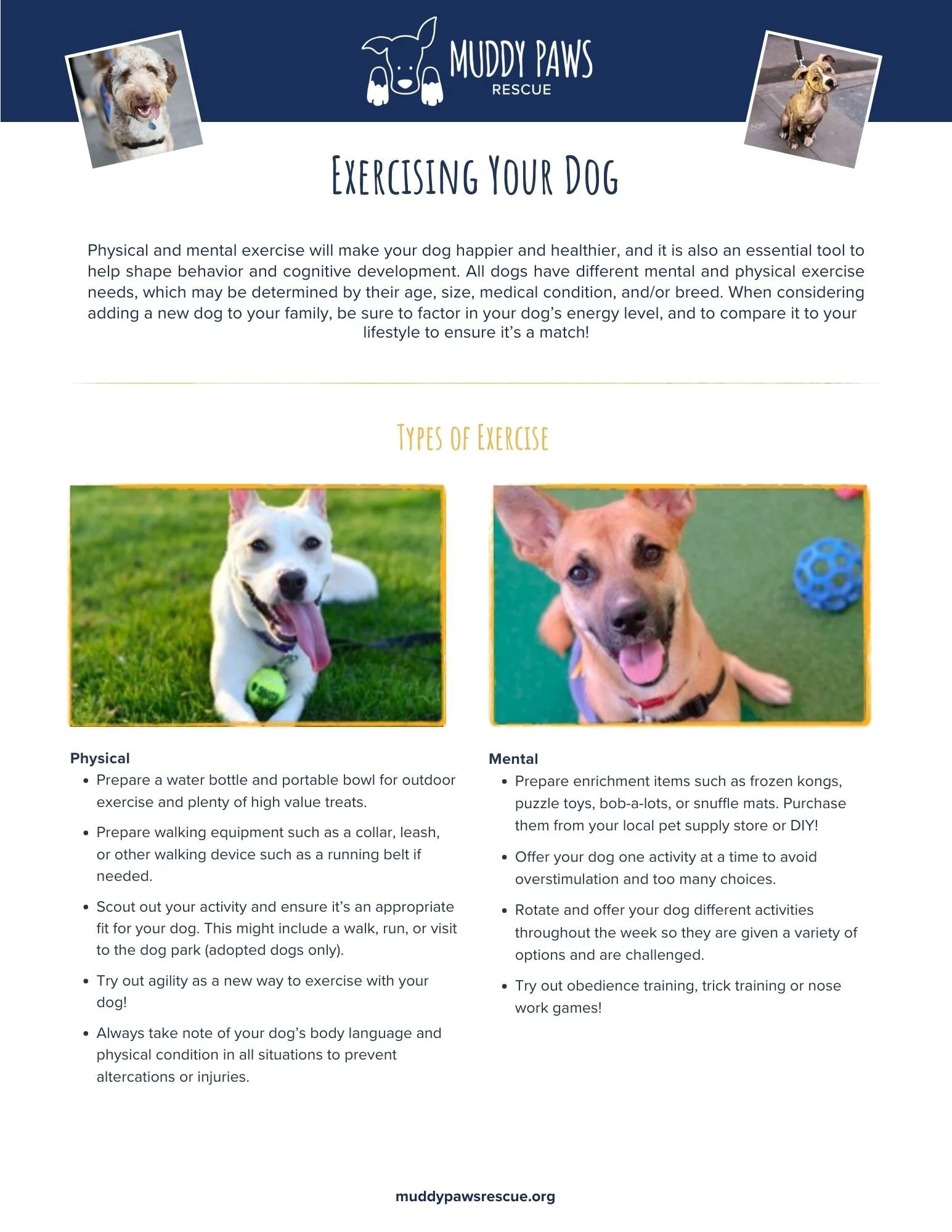 Muddy Paws Rescue: Exercising Your Dog