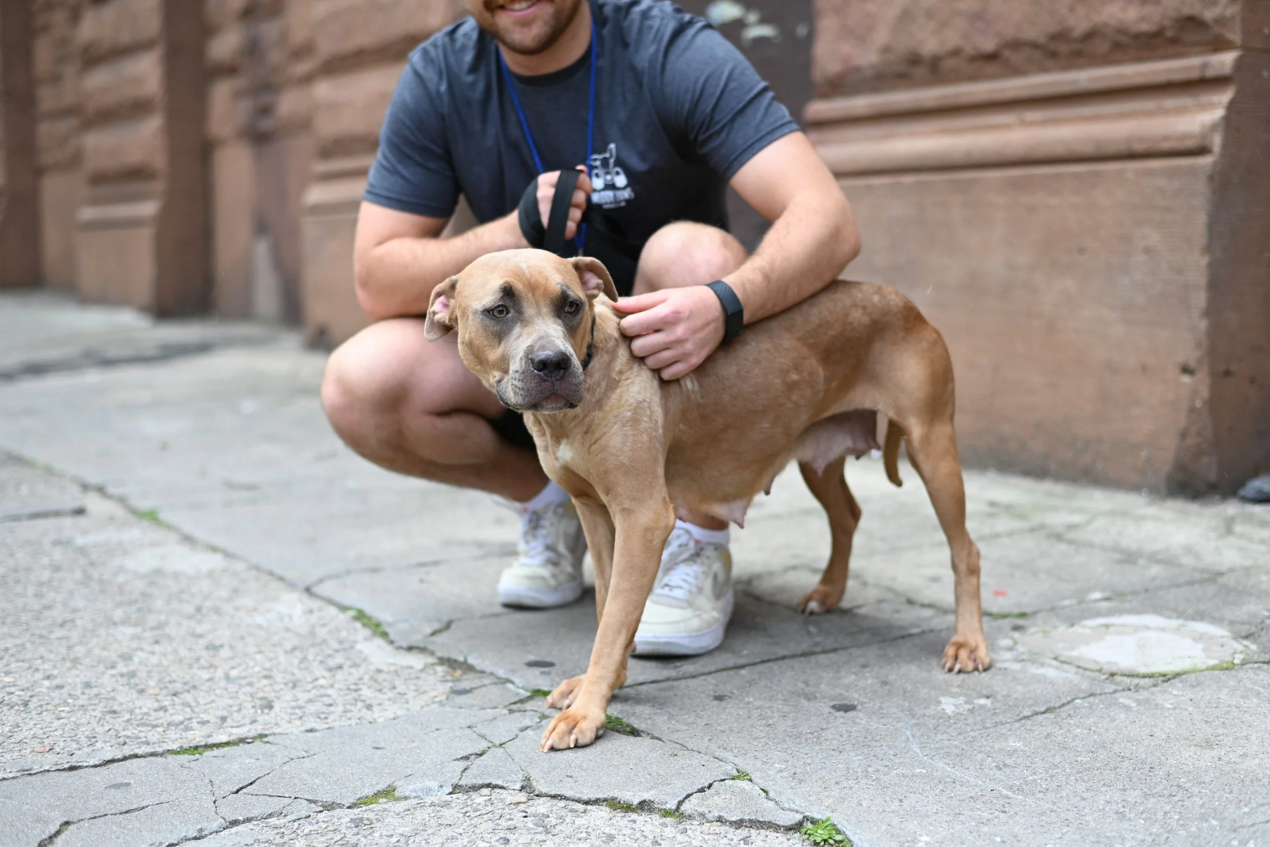 Muddy Paws Rescue Video: Shy & Fearful Behavior