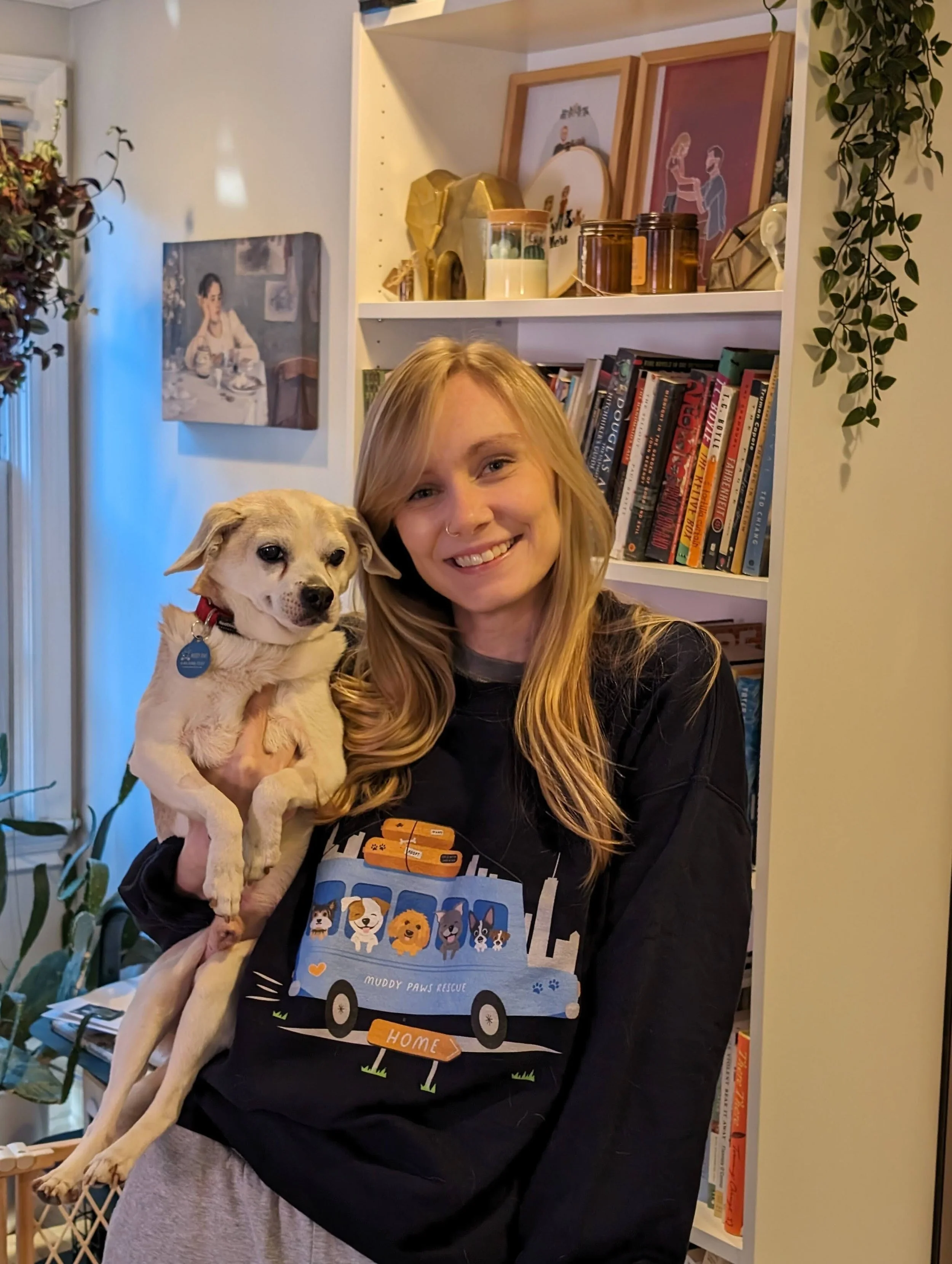 Humane Society Second Chance French Bulldog Rescue Humane Society