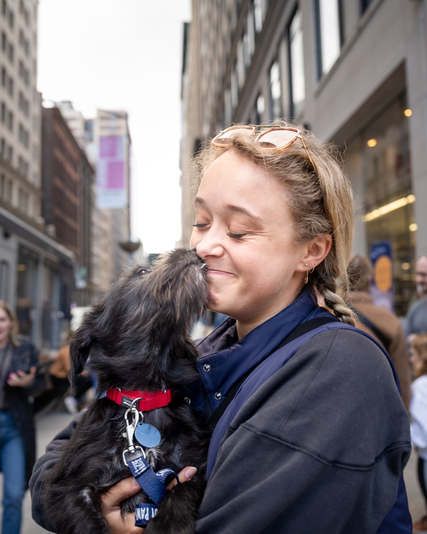 The sun was shining, the city was bustling and our pups were trotting off to new loving homes this past weekend! It was amazing to see a small crowd gathered around our adoption van, can we make that crowd even bigger this weekend? 👀 

This Saturday