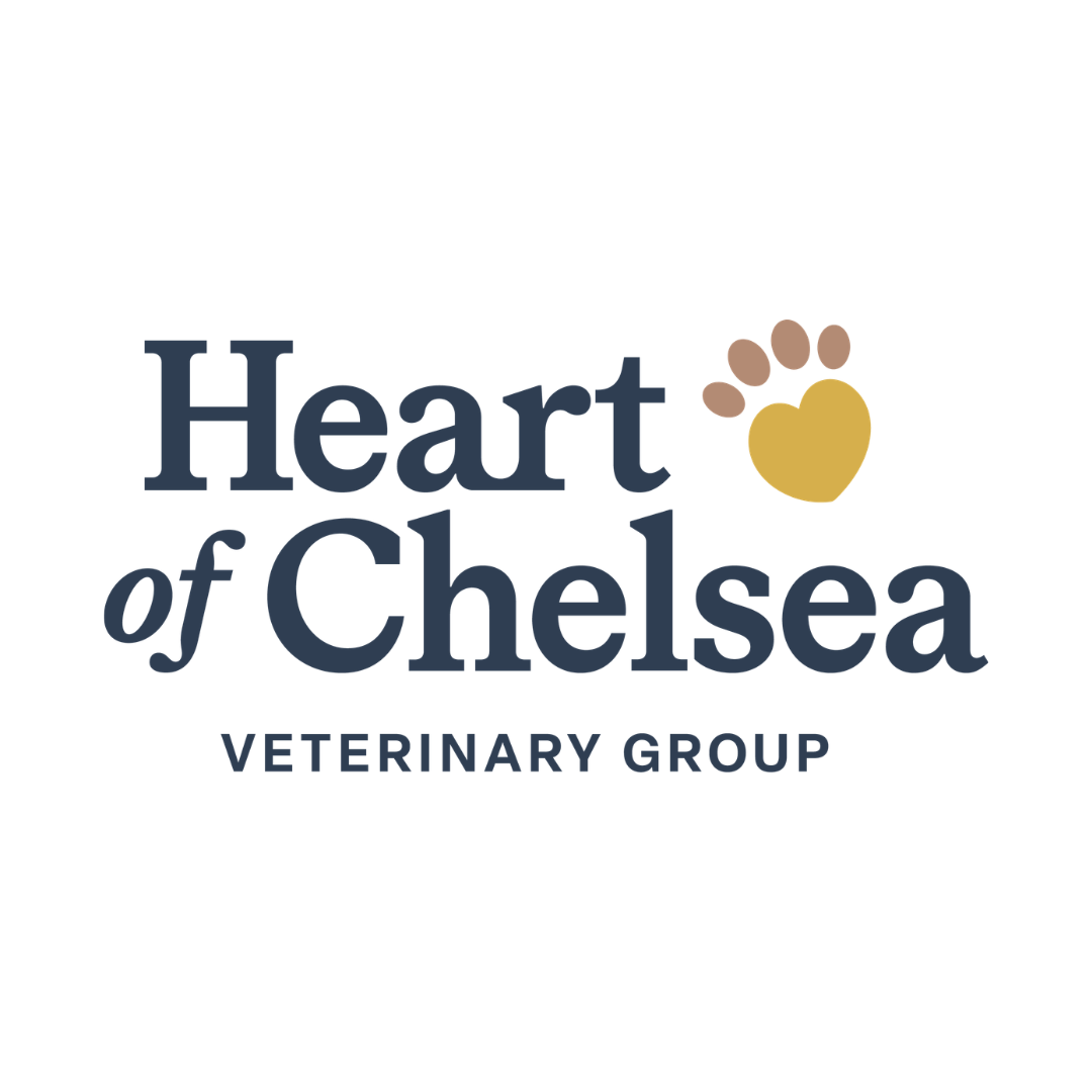 Heart of Chelsea Veterinary Group