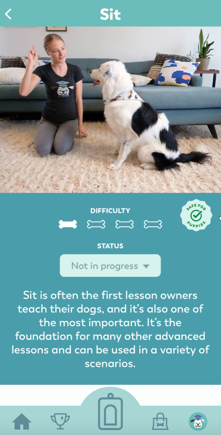 8 Free Dog Apps to Help With Fostering — Muddy Paws Rescue