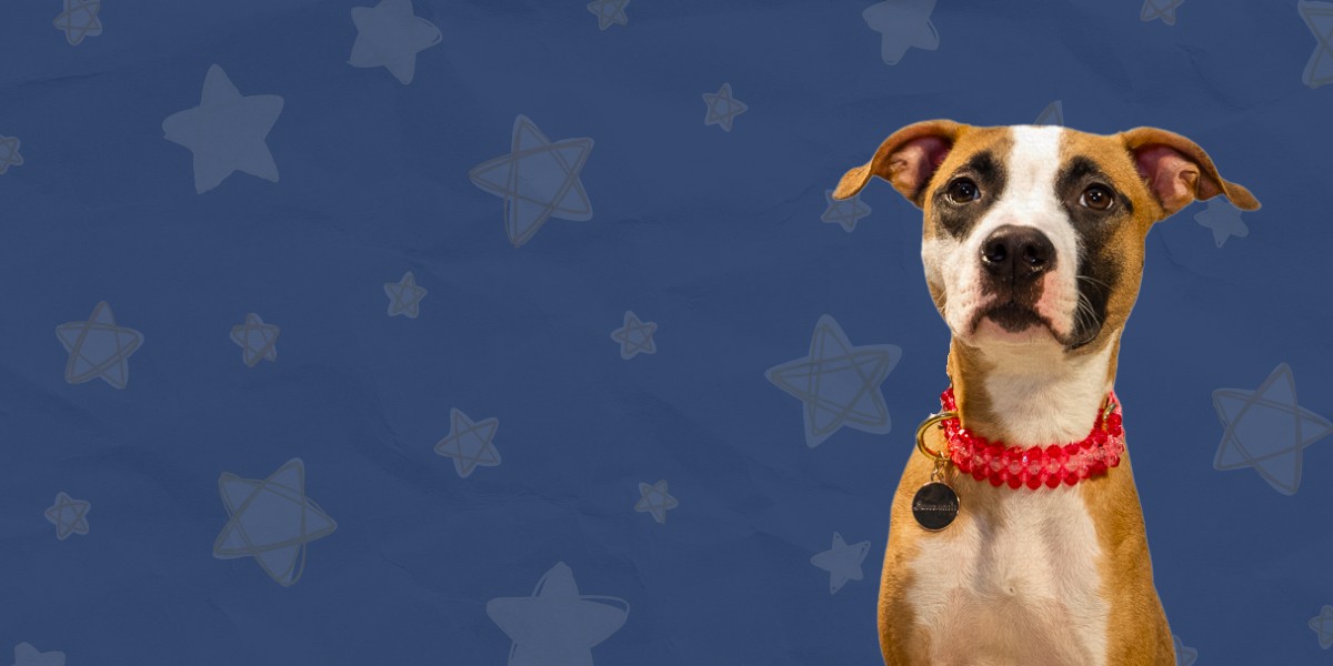 Untitled design - 2026-01-22T094730.343.png