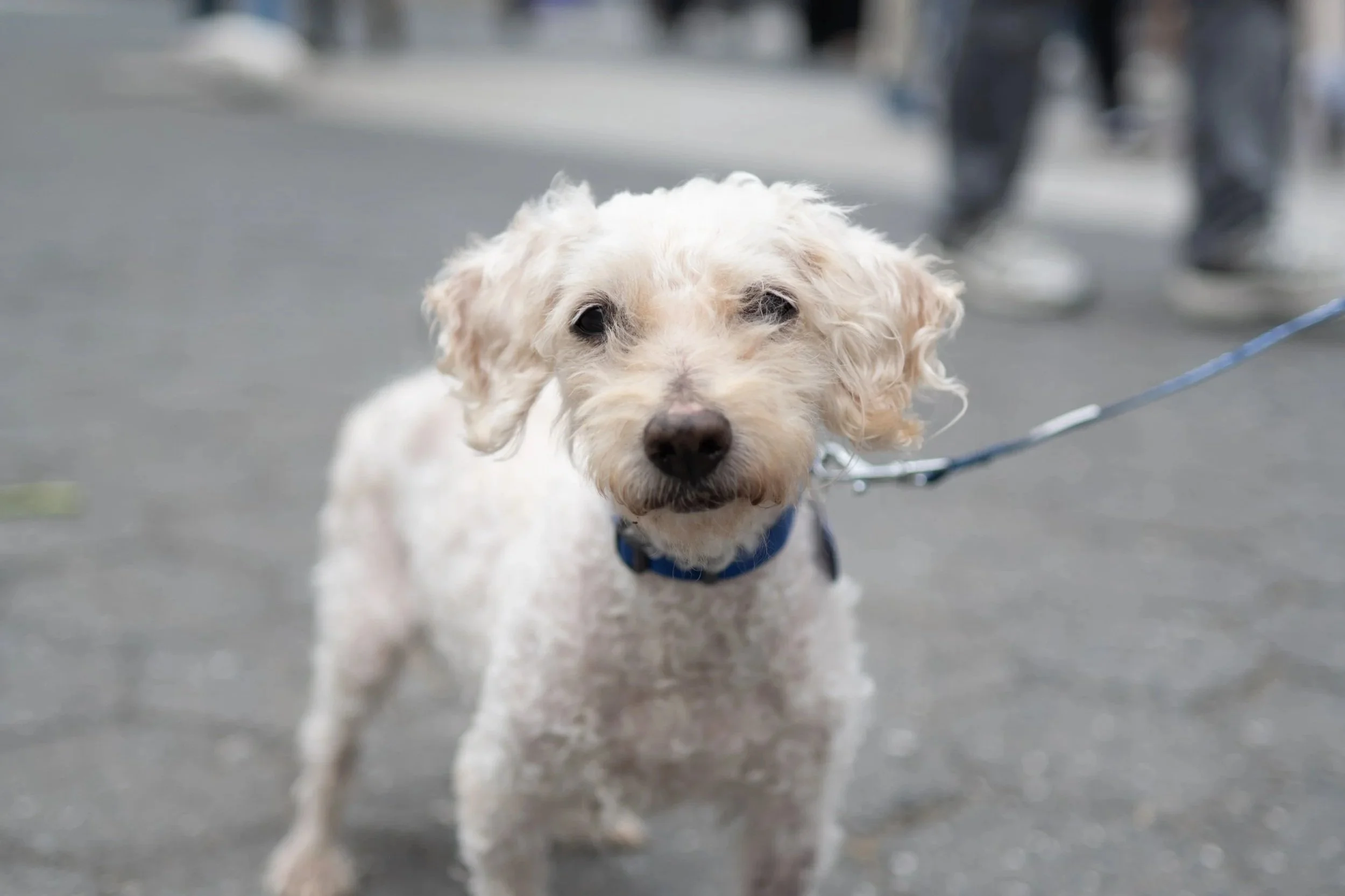 MPR Mega Event 1JUNE2025-225.jpg