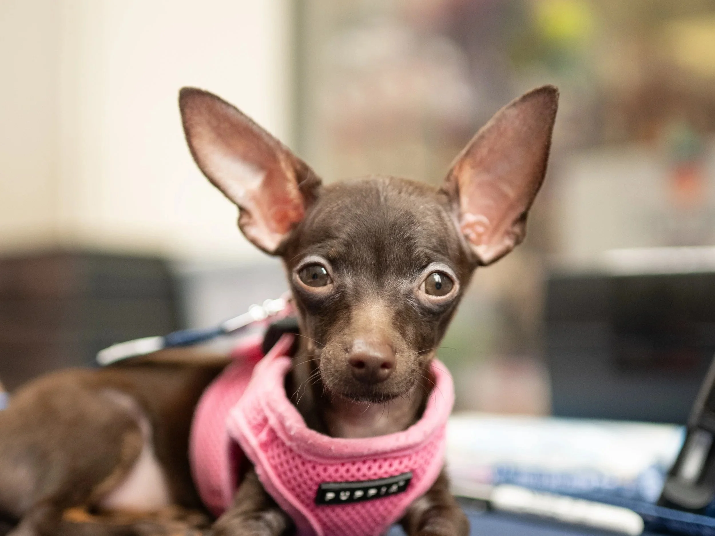 MPR12JULY2025-009 (1).jpg