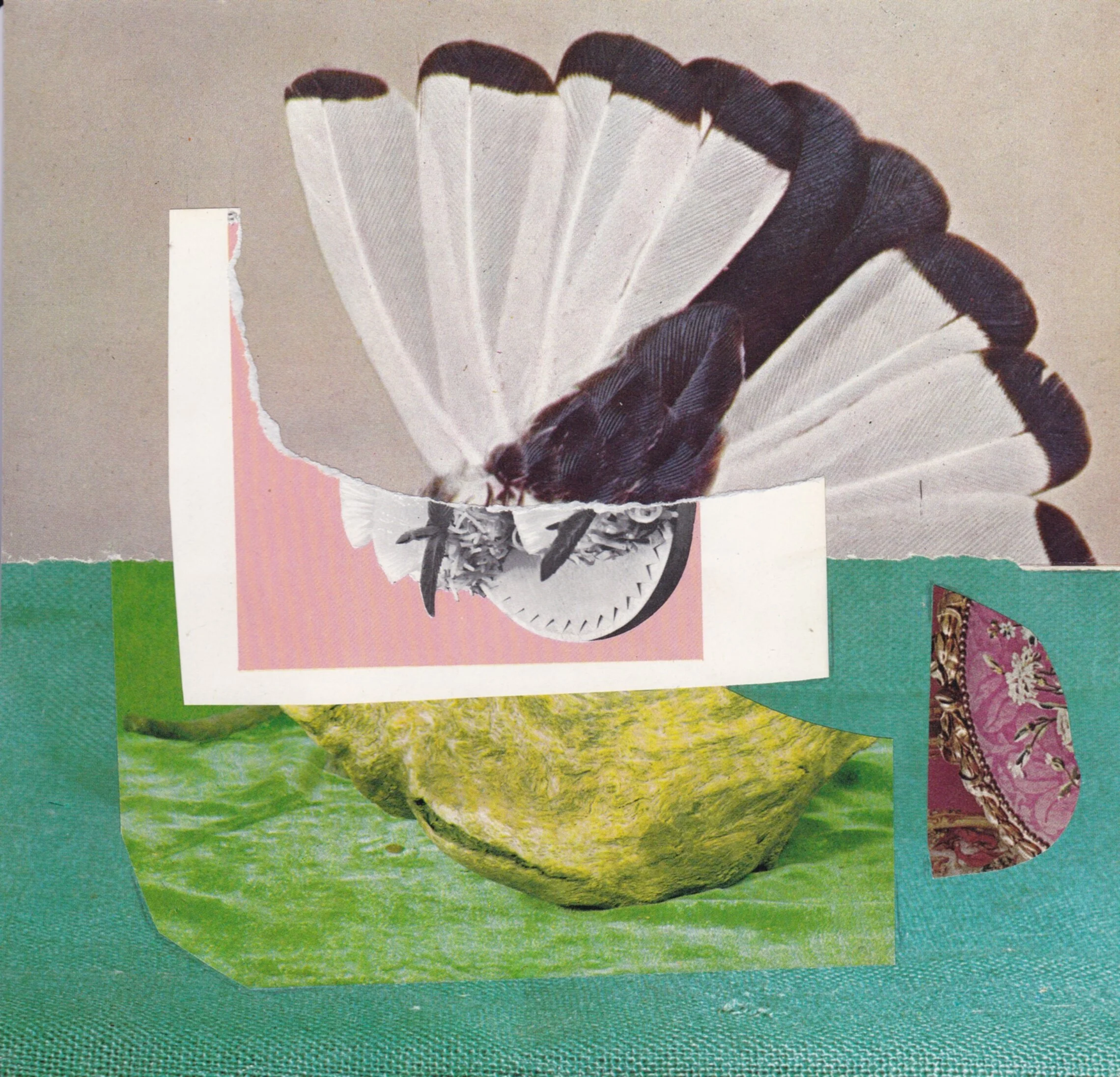 Artist Profile: MEL LINEHAM 