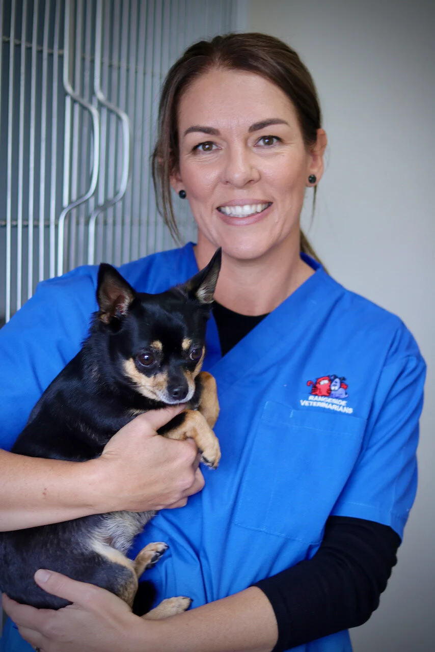 Rangeside Vets Toowoomba - 12.jpeg