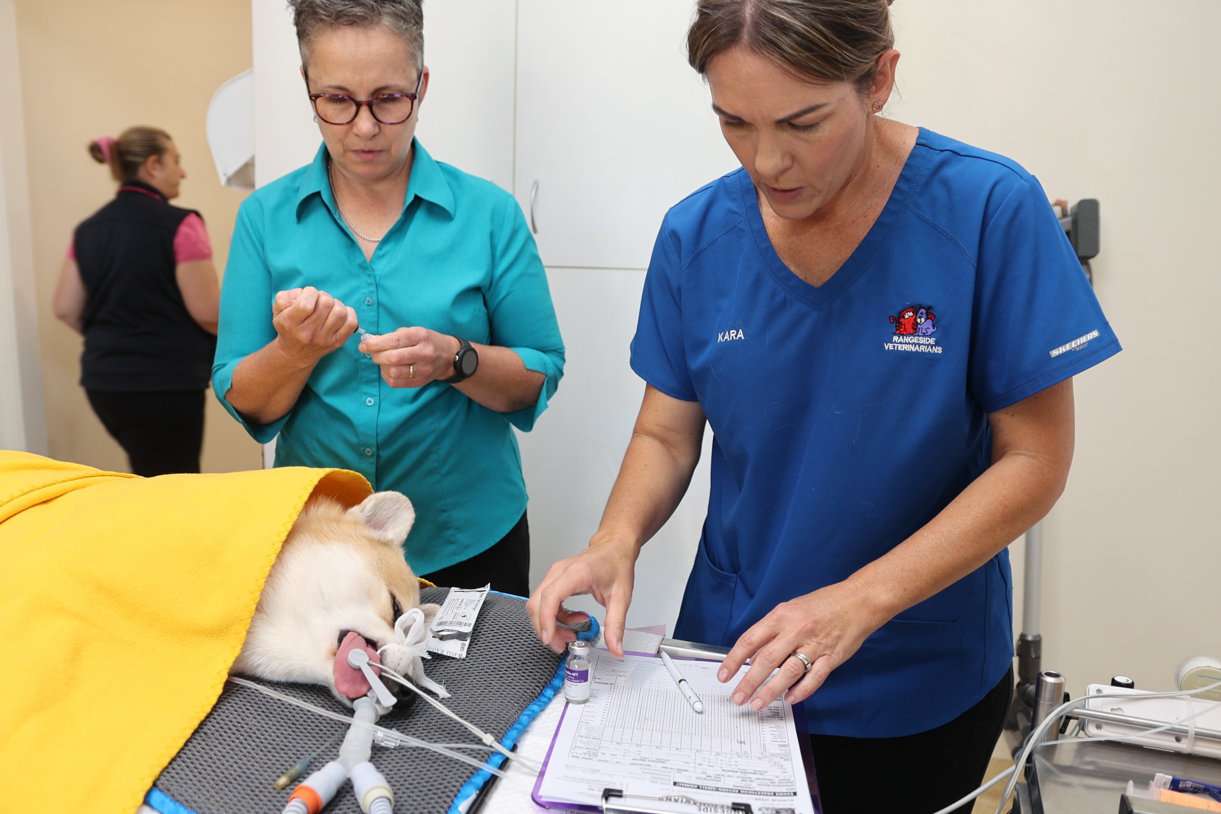 rangeside vets ruth devlion1.JPG