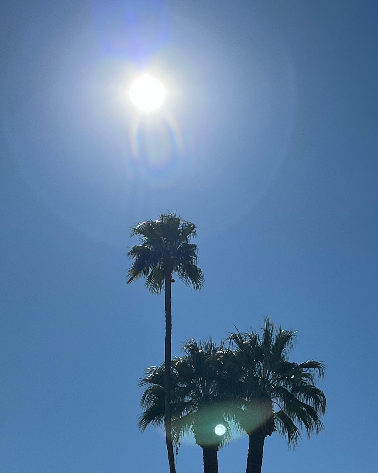 midsummer solstice vibes 🤍☀️💛

#sunnysundays #shinefromwithin #balmylips #santamonica #lipbalm #lusciouslips #organic #ecofriendly