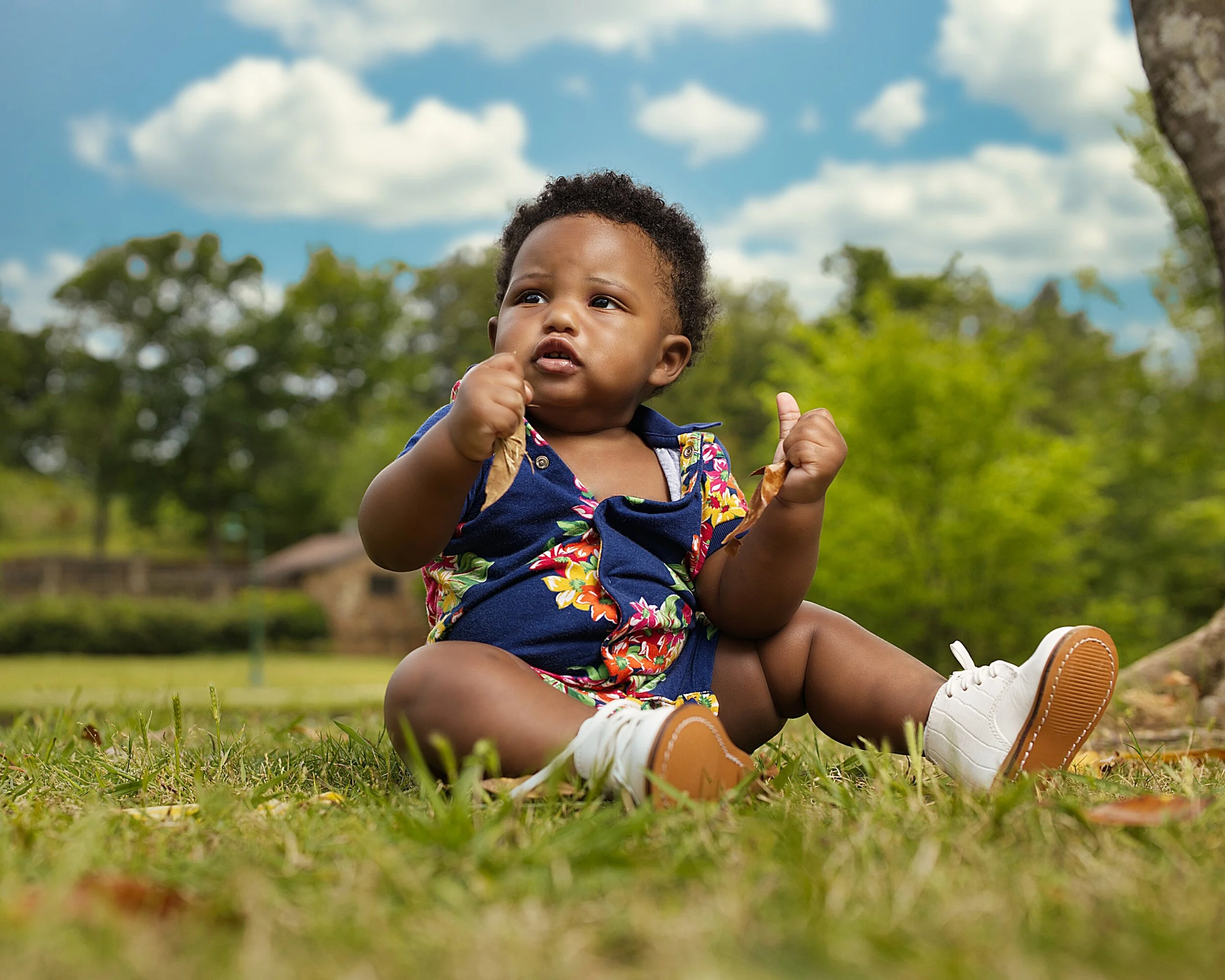 processed_AC5-1 Lum2-1-1.jpg