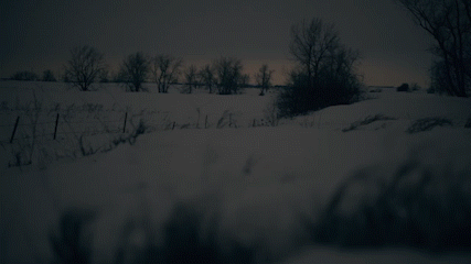 FARGO_GIF_003.gif