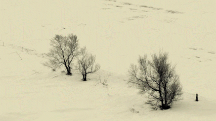 FARGO_MOTION_006_DAY_AERIAL.gif