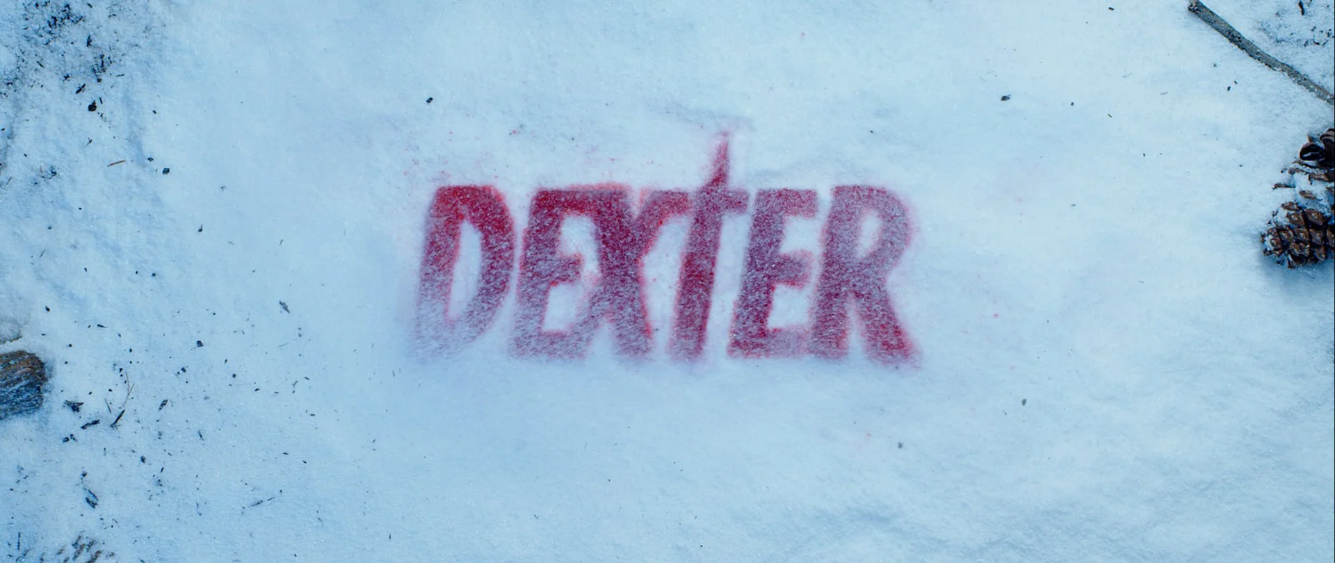 DEXTER PRACTICAL LOGO.jpg