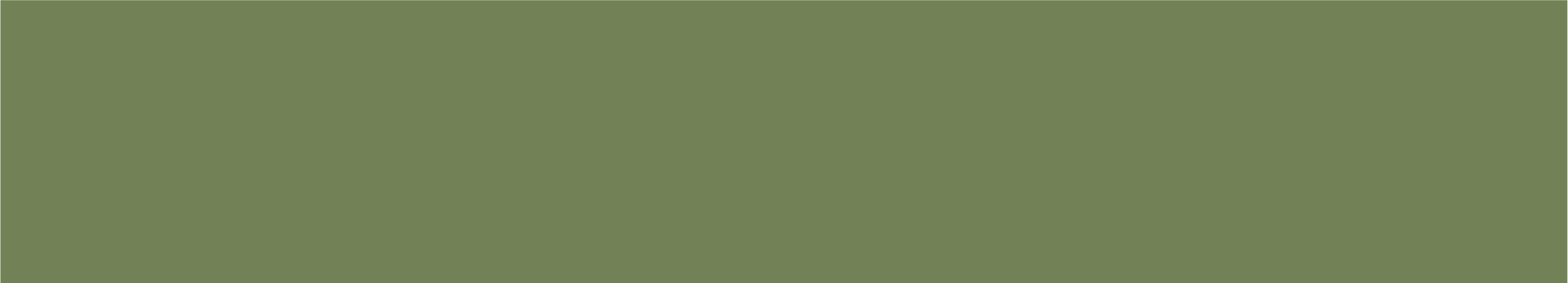 rassel green background.png