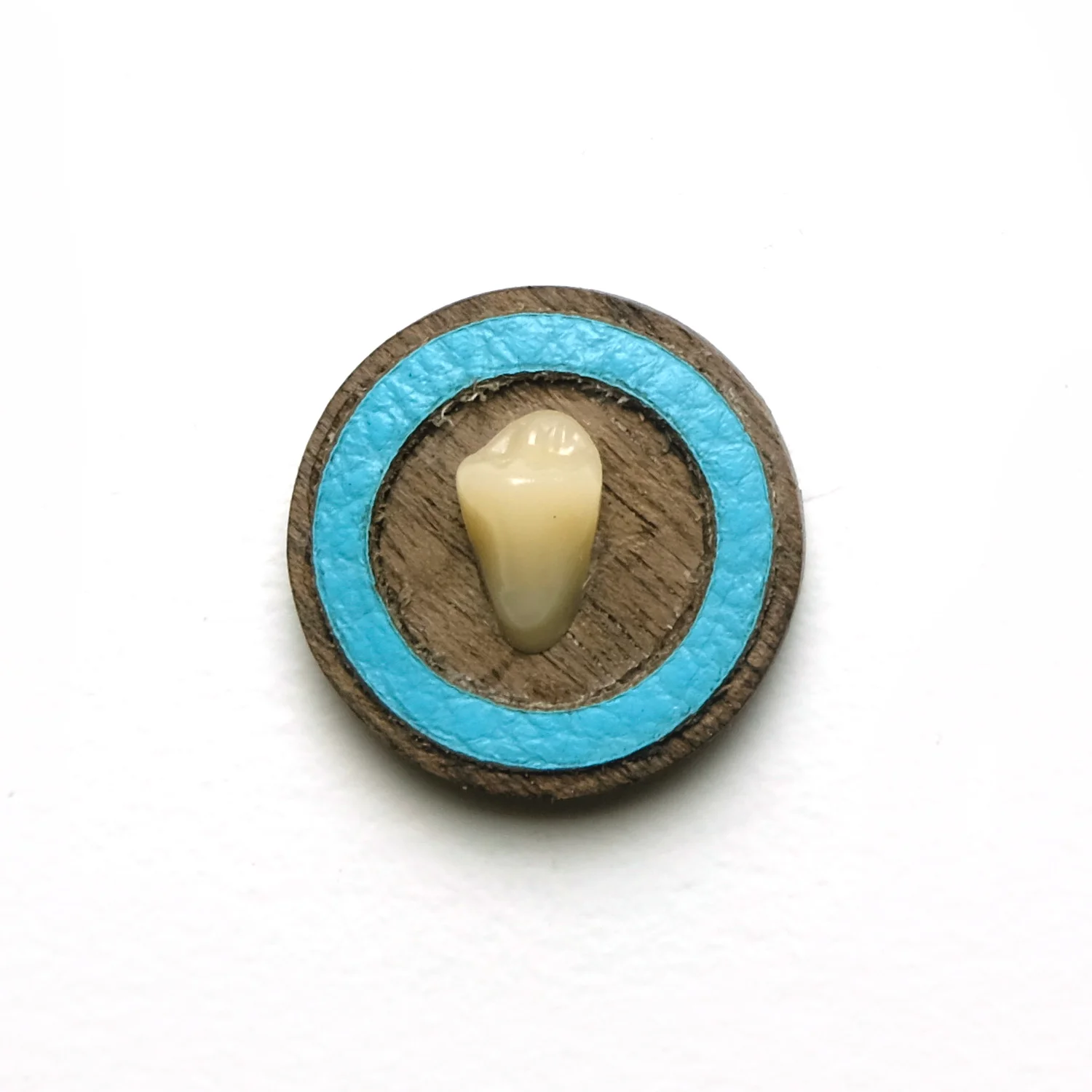 blue molar.jpg