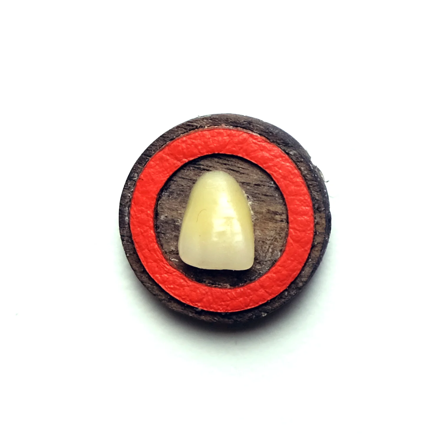 red incisor.jpg