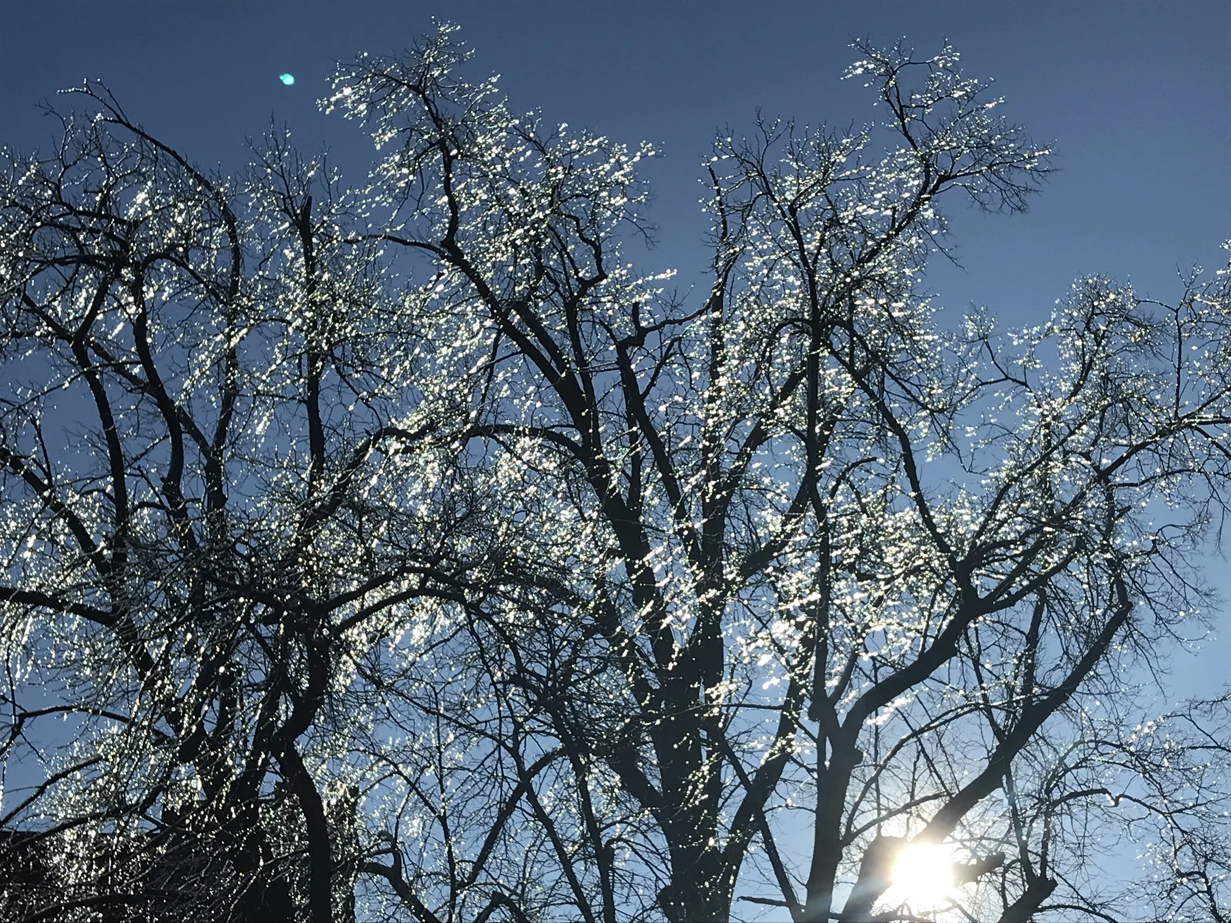 Holiday Concerts (December 2019)