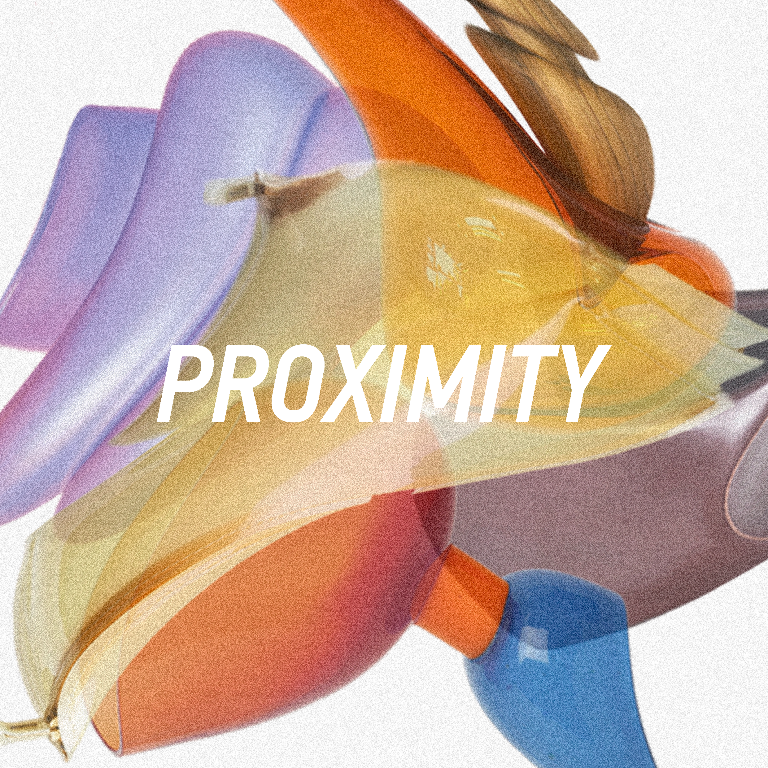 Proximity, Nationale Gallery, Portland, Oregon, December 2021